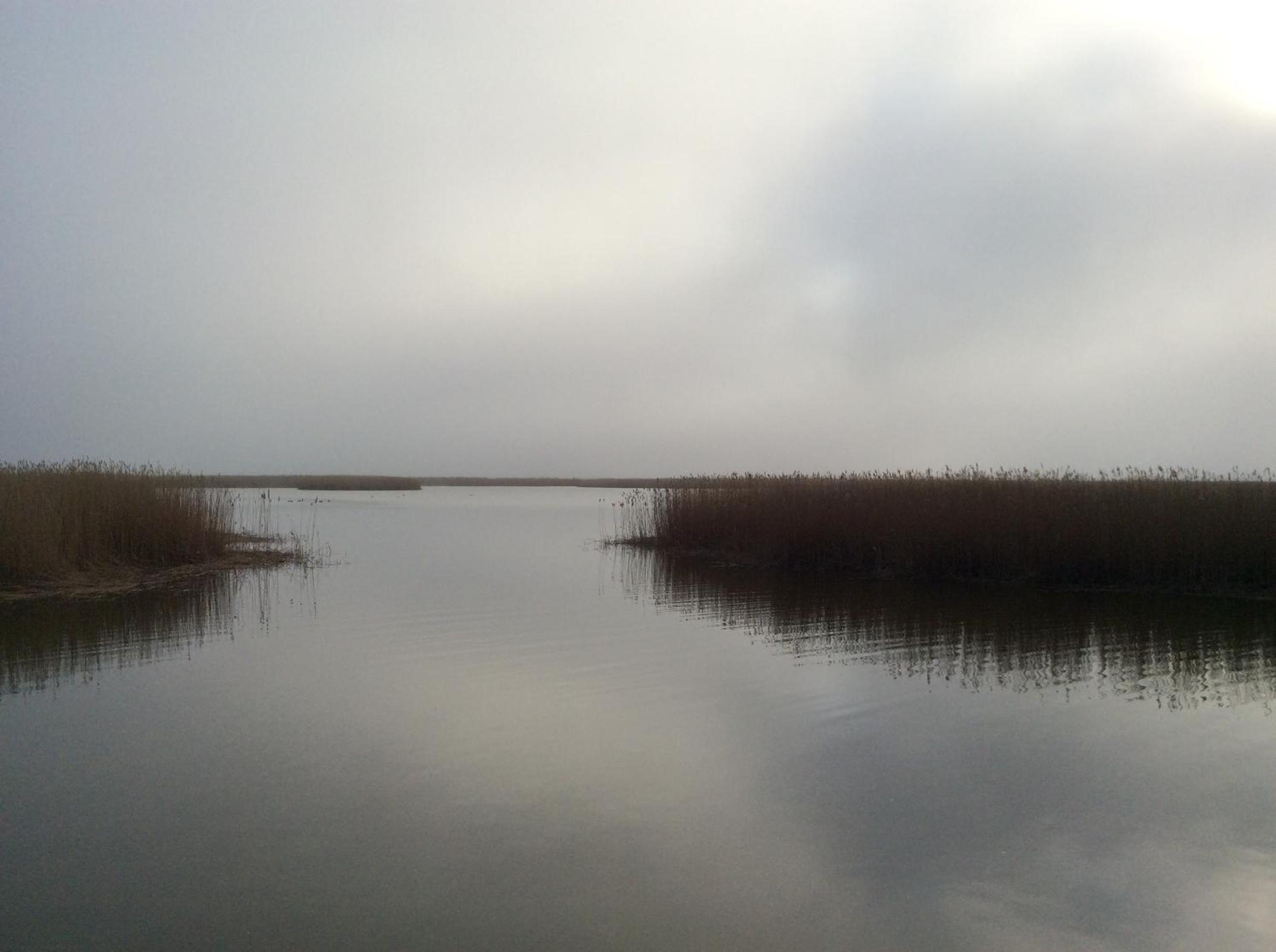 Ferienhaus am Saaler Bodden