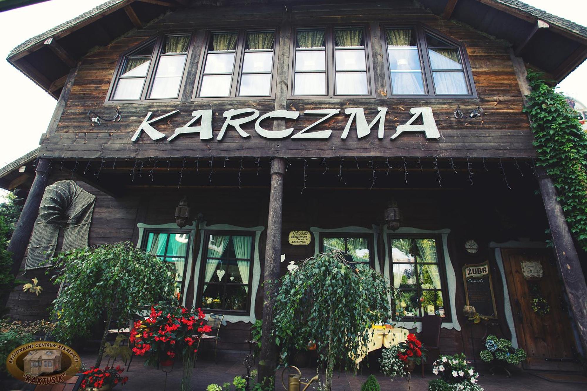 Kaktusik view 2