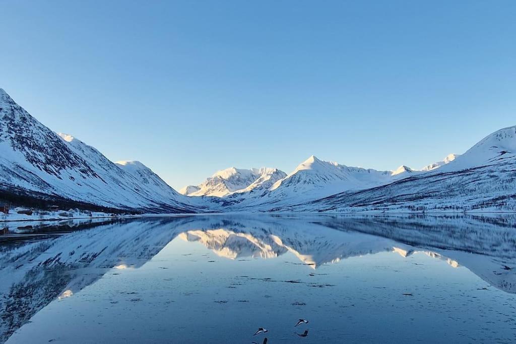 Blabergan Lodge in the Lyngen Alps