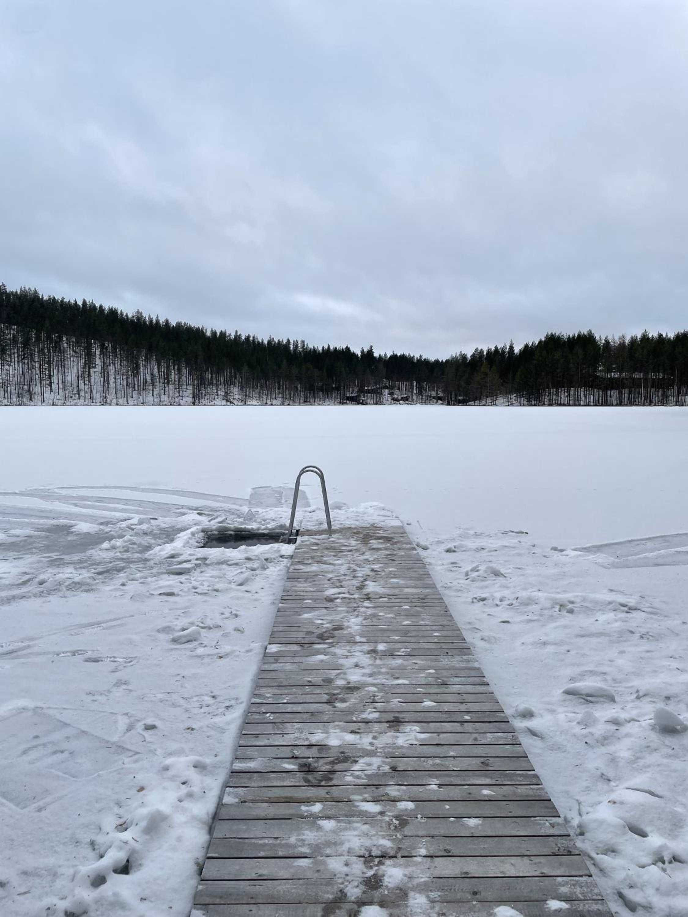 Photo 41