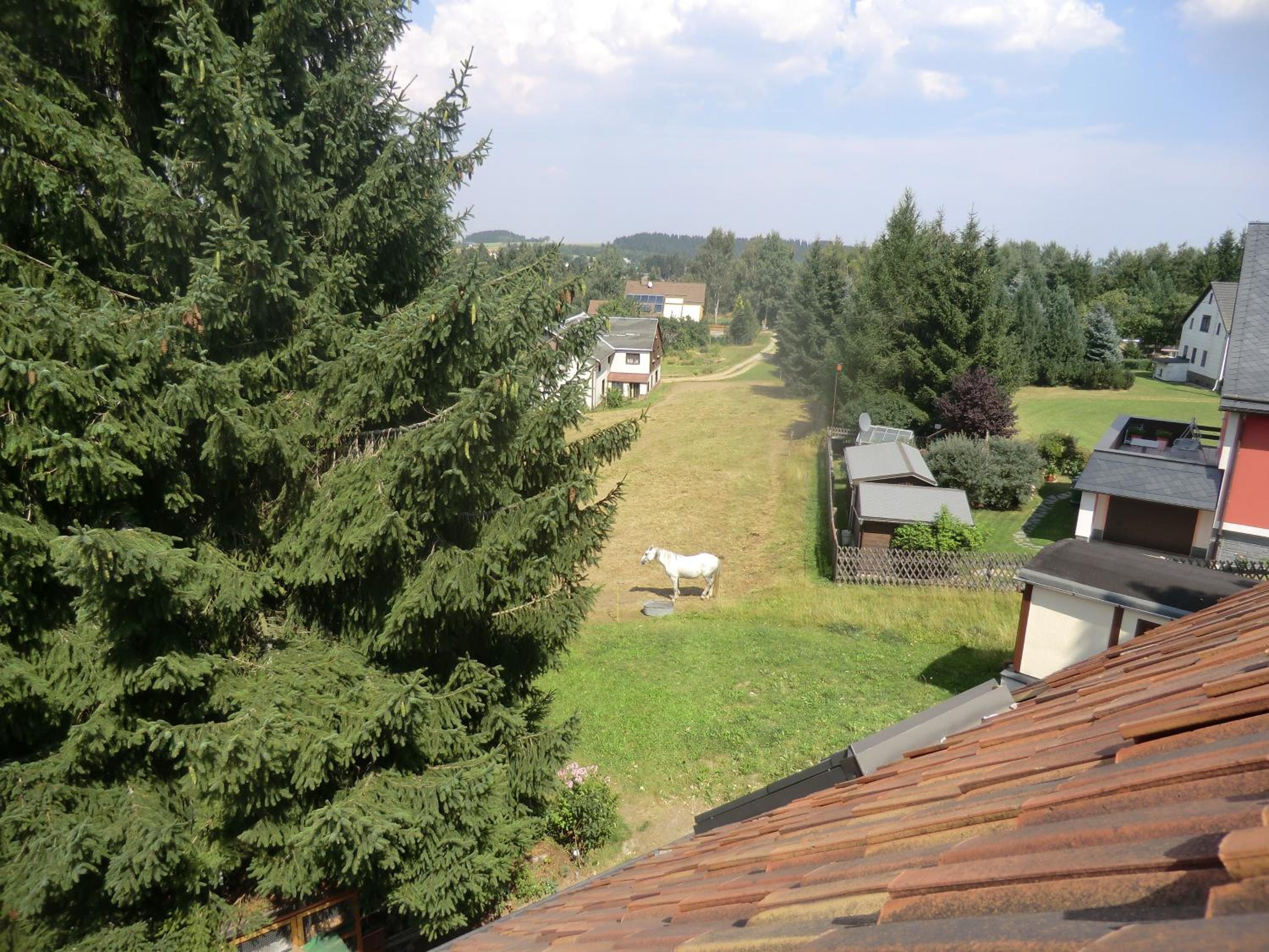 Ferienwohnung Unger view 4