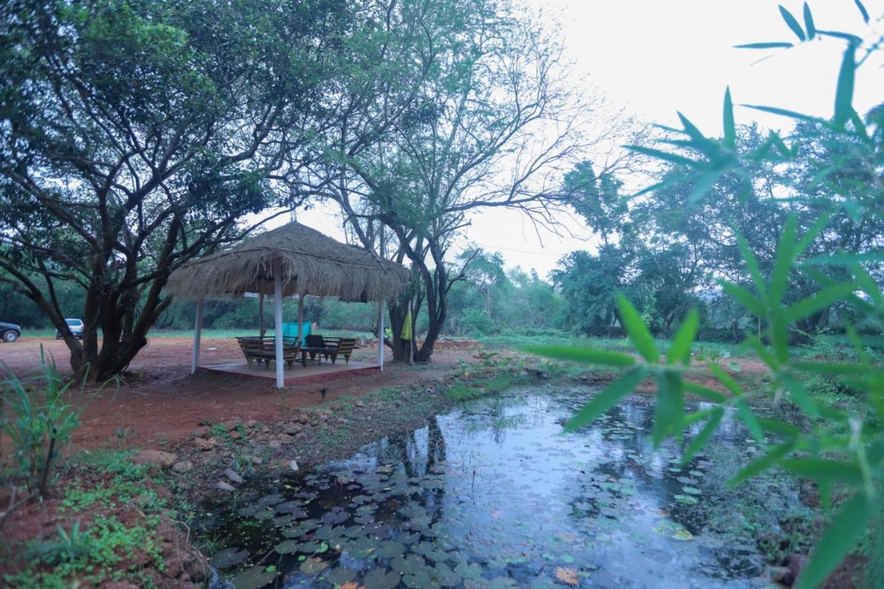 Beach Groove Cottage
