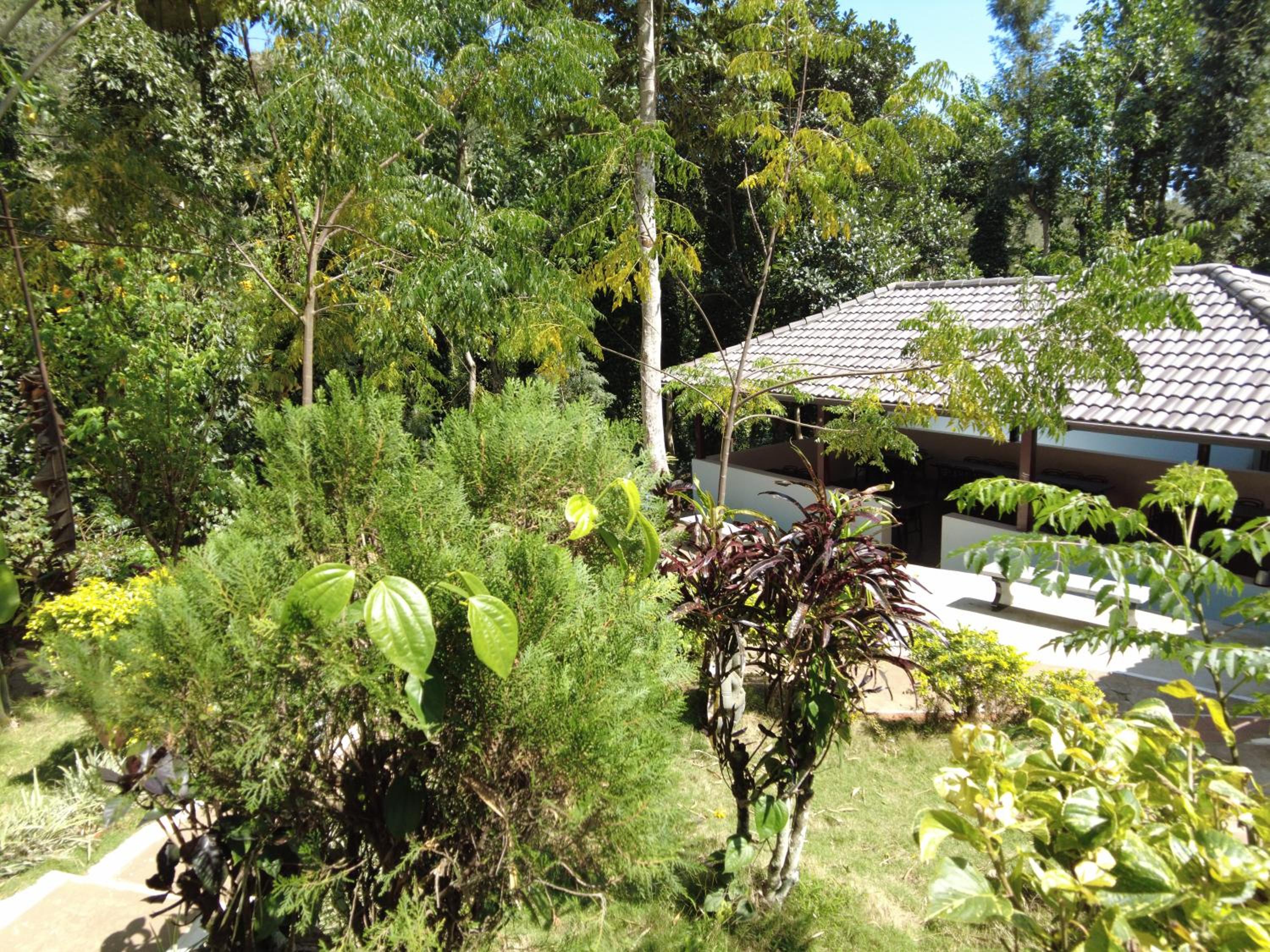 Photo 22