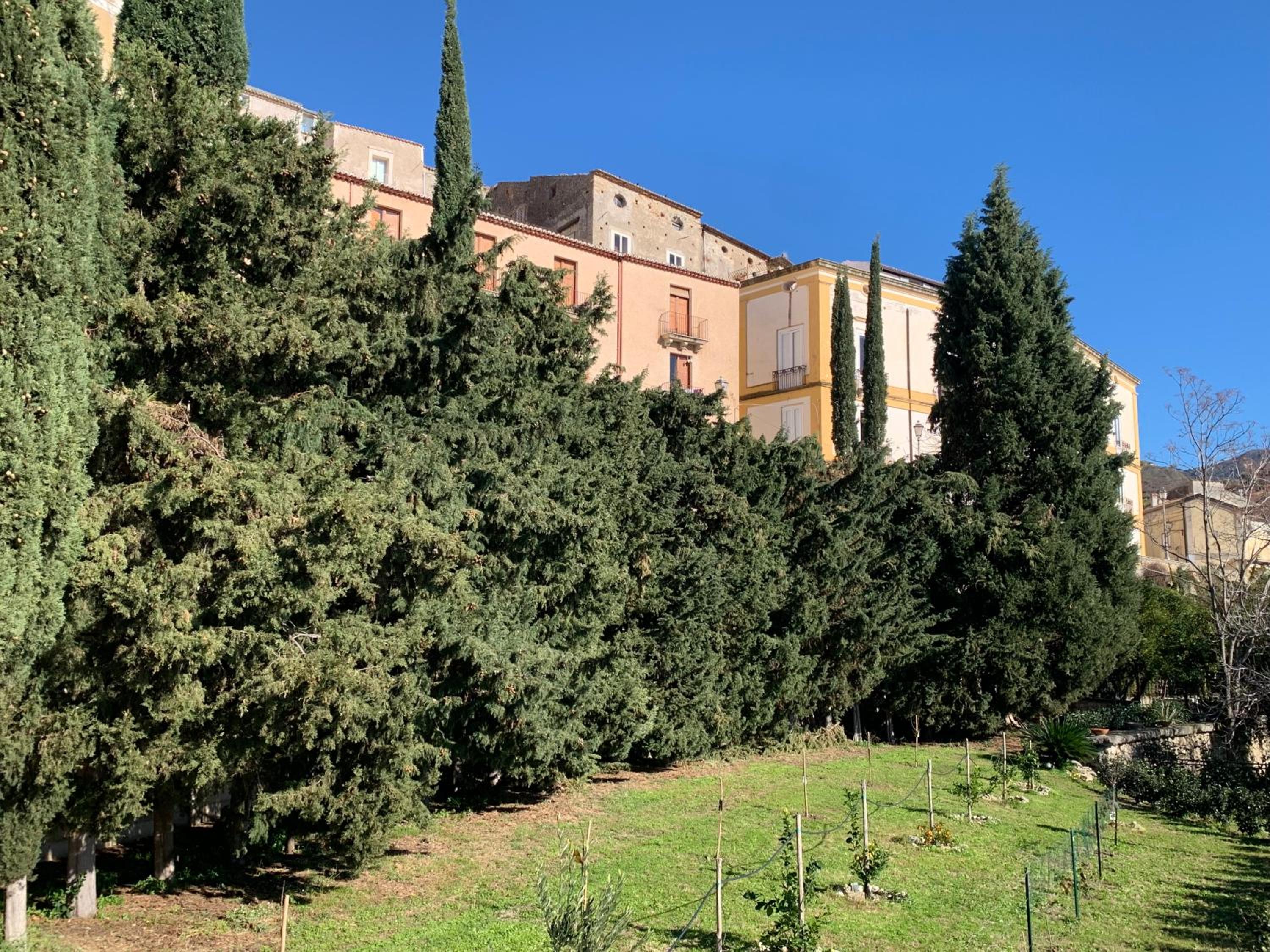 Palazzo Carratelli