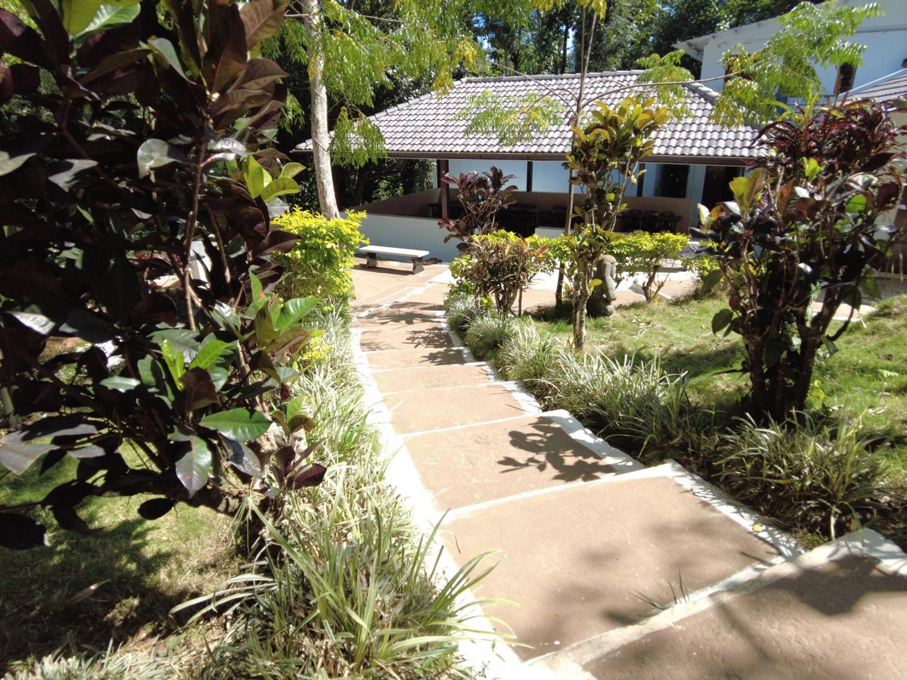 Photo 25