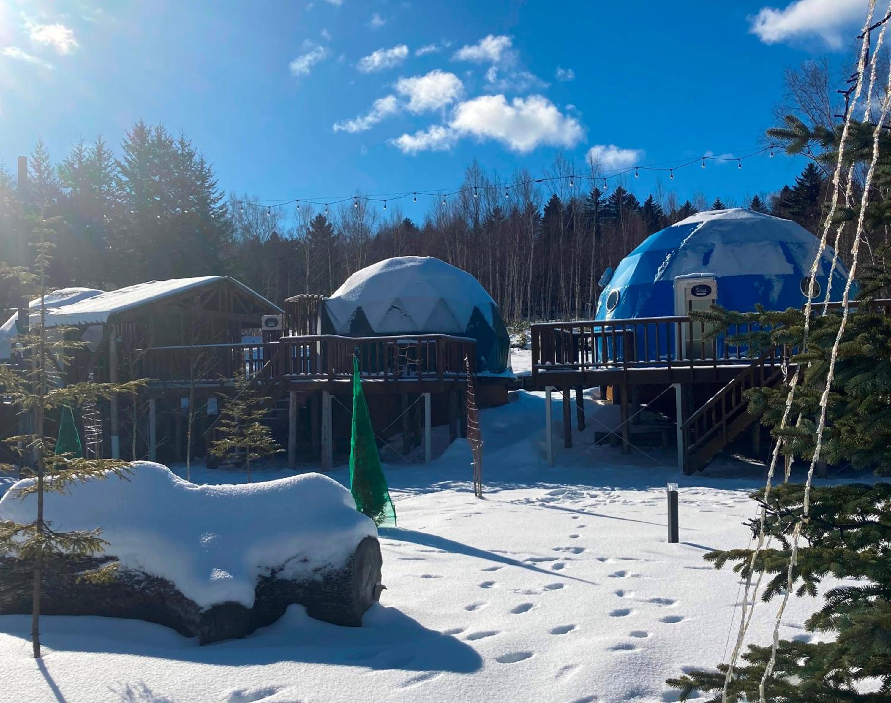 Glamping TOMAMU