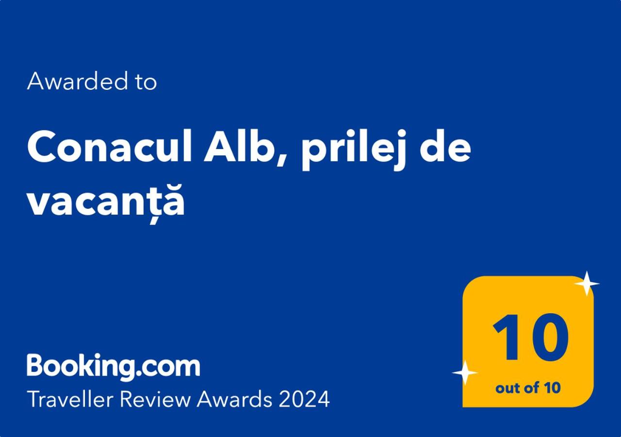 Conacul Alb, prilej de vacanță view 2