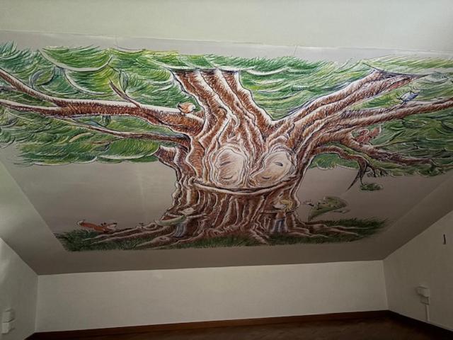 Photo 45