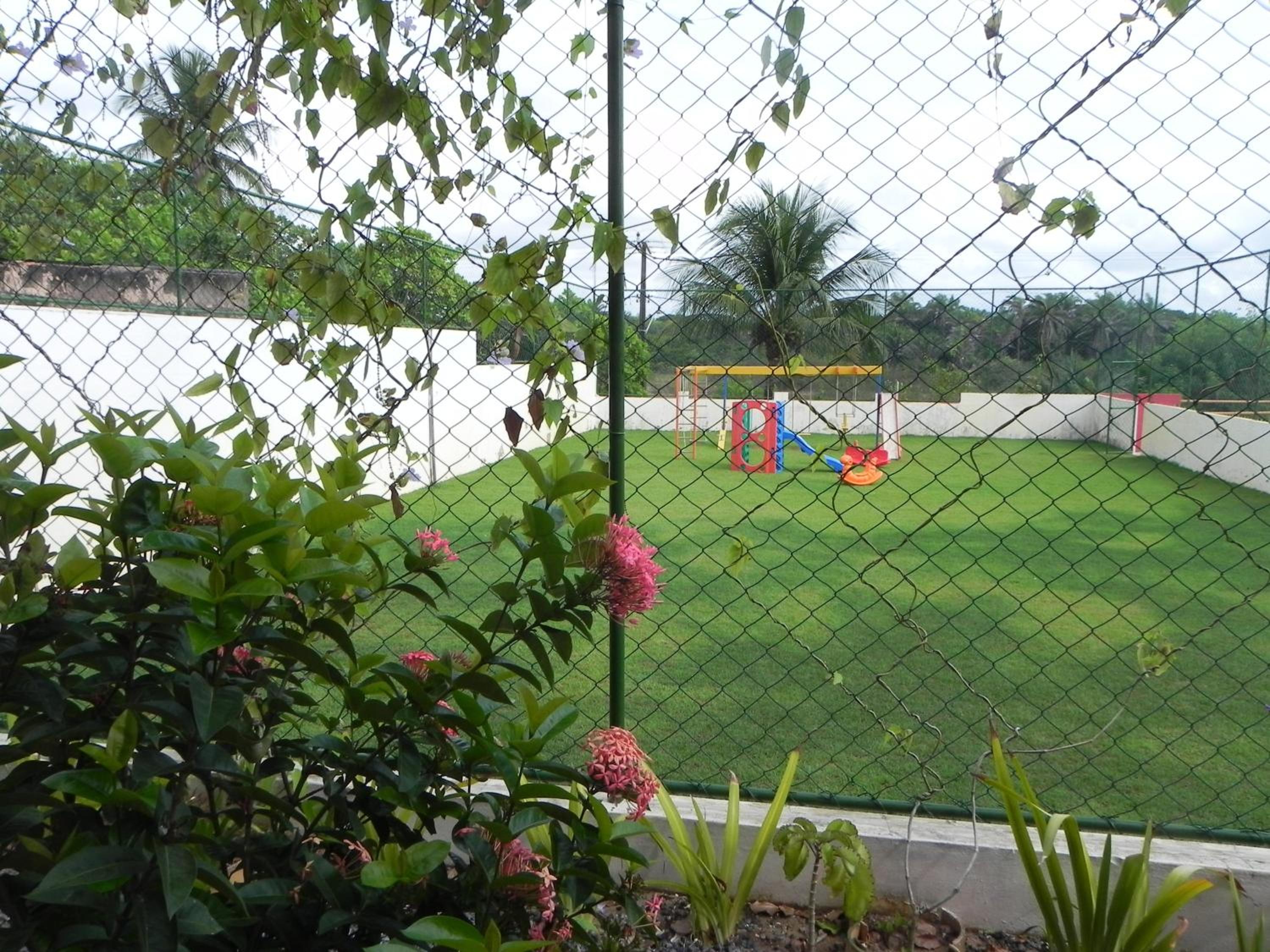 Photo 31