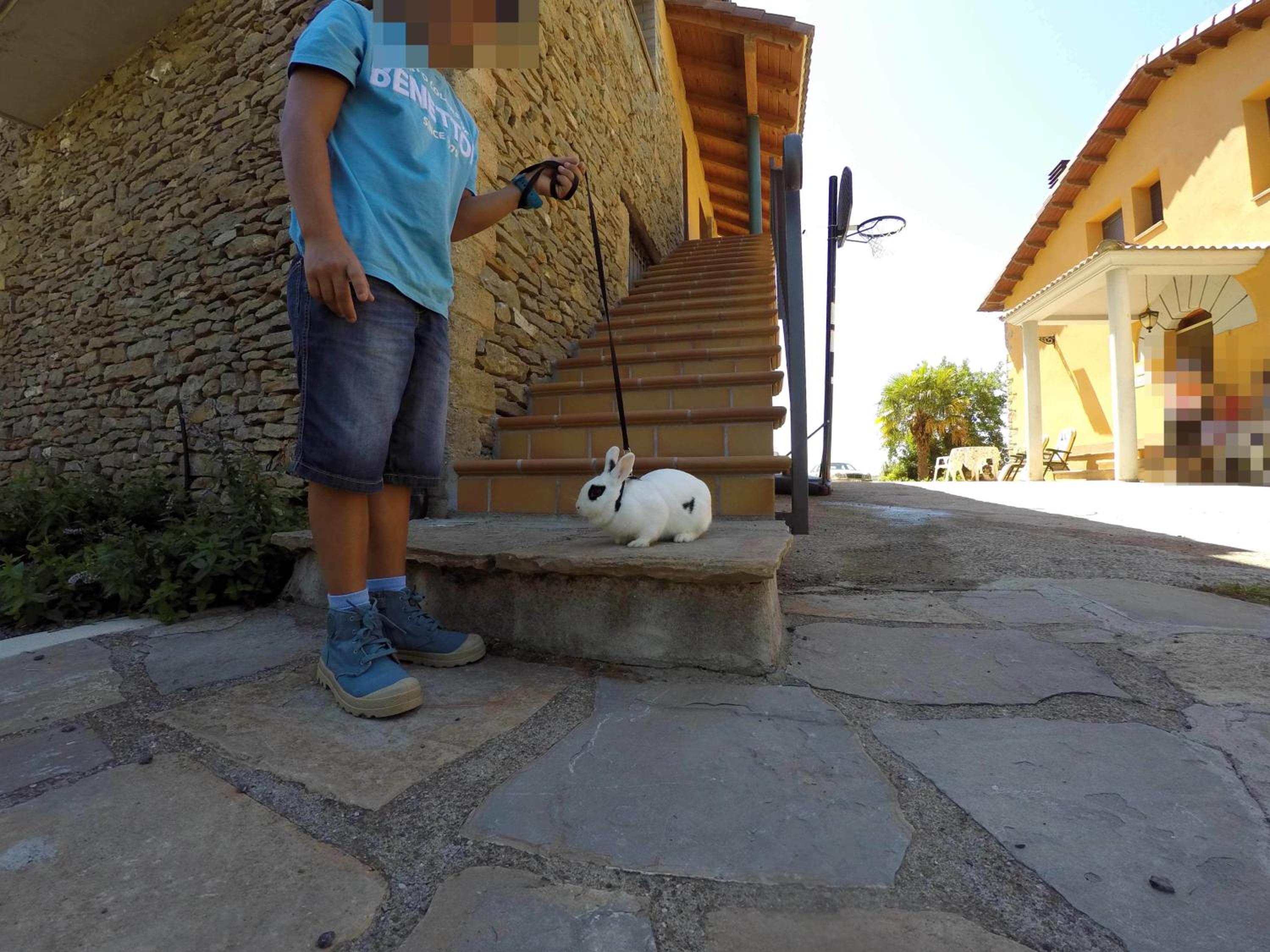 Photo 45