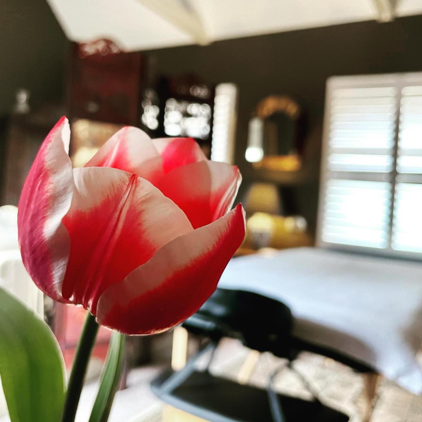 Bundanoon Bijou Southern Highlands Accommodation