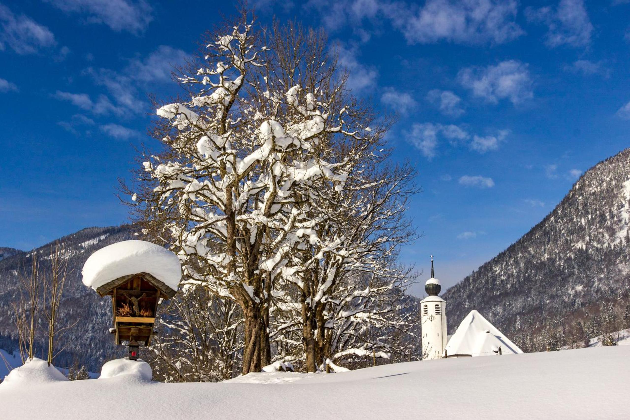 Haus Hochhäusler