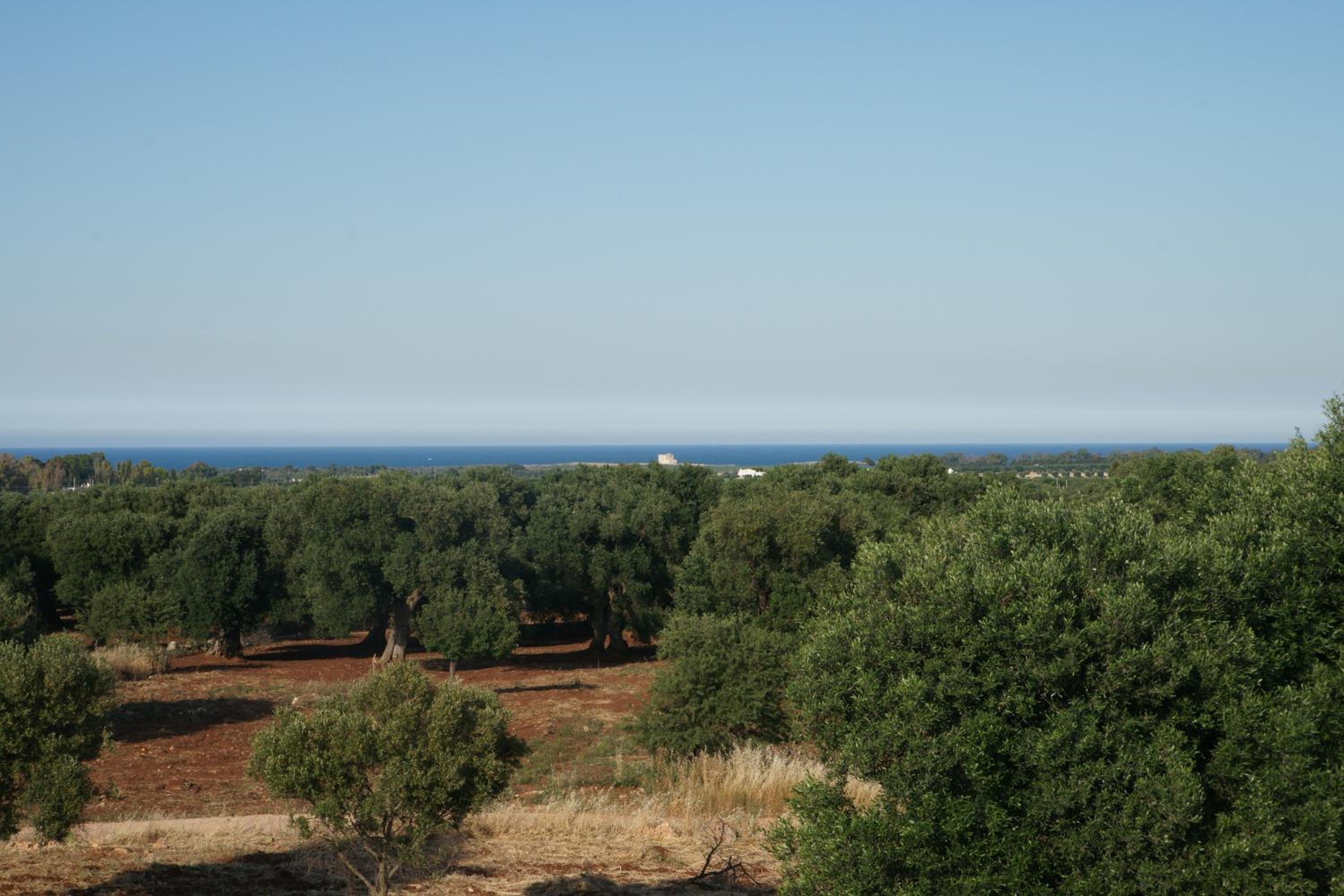 trullo contemporaneo