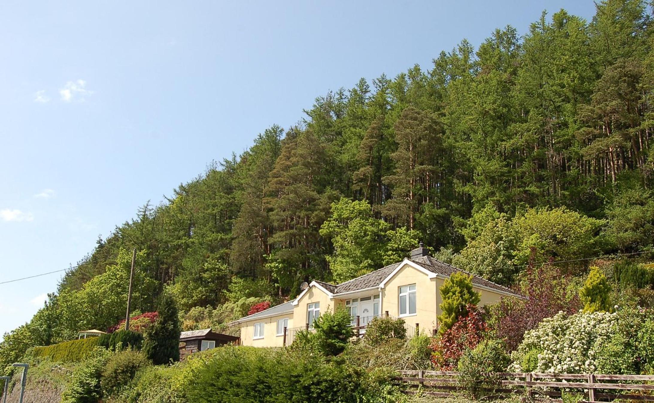 Photo 12