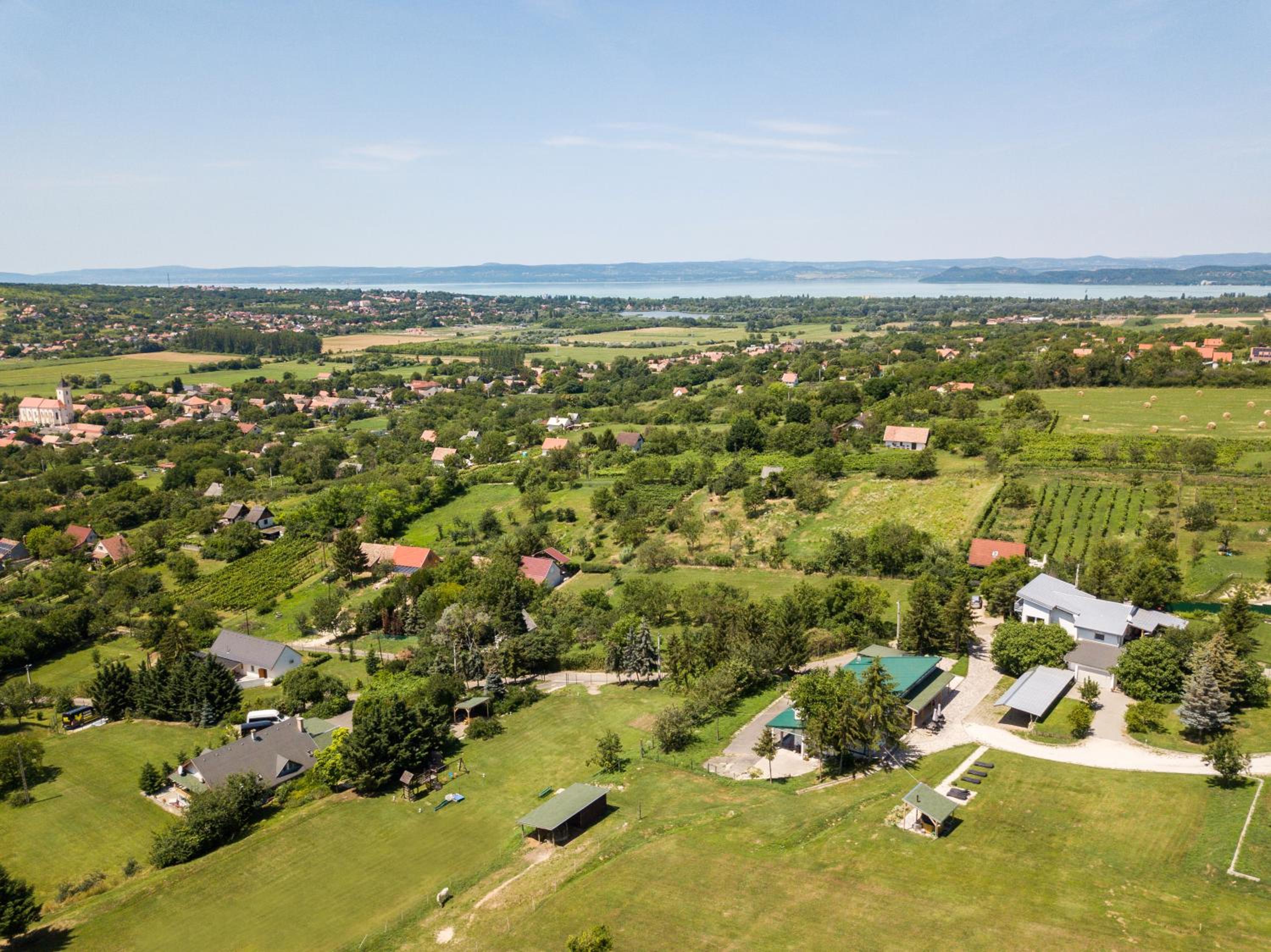 Borkúti Panzió és Apartman view 2