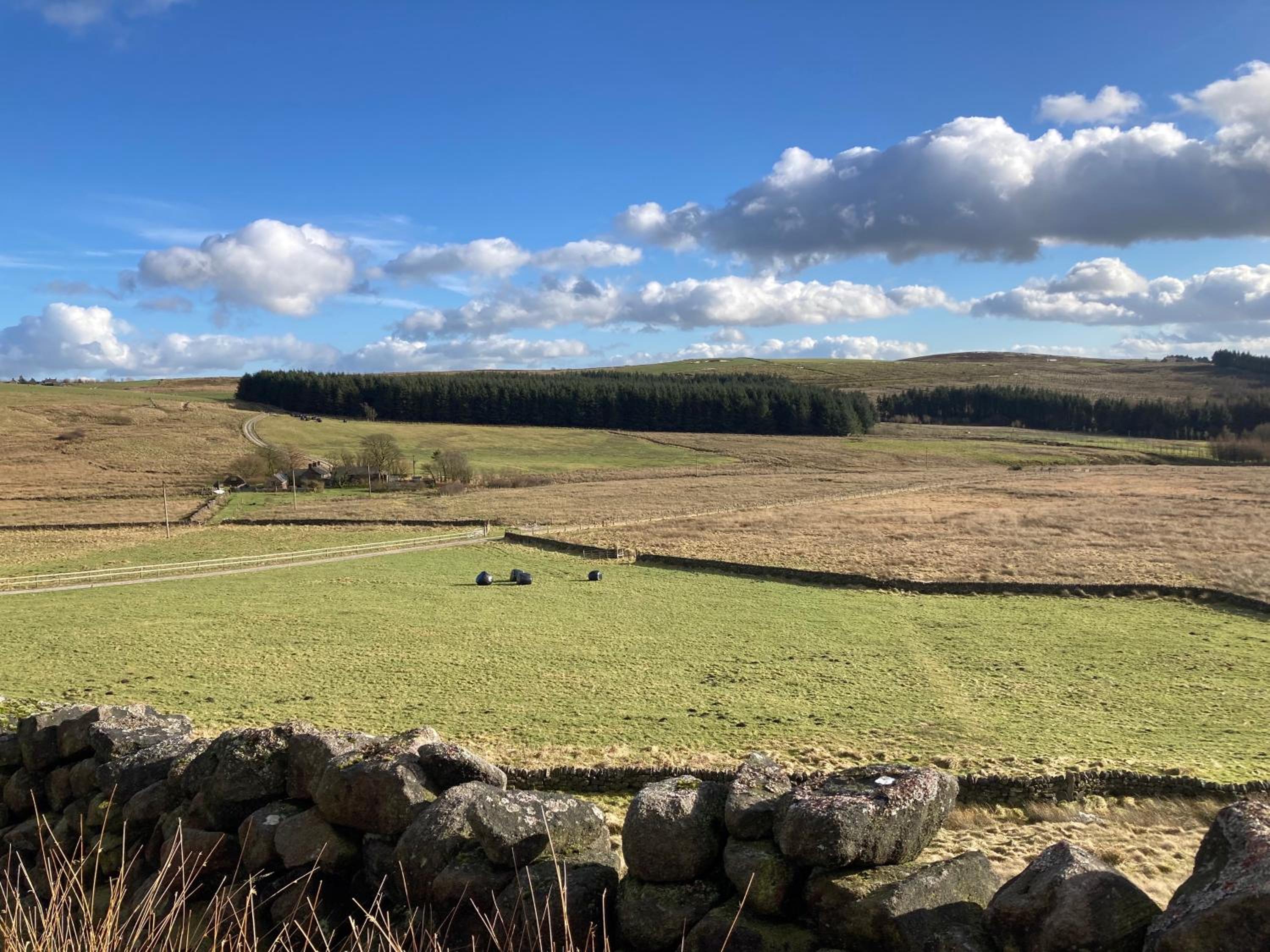 Anroach Farm House in The Peak District(sleeps 20) view 3