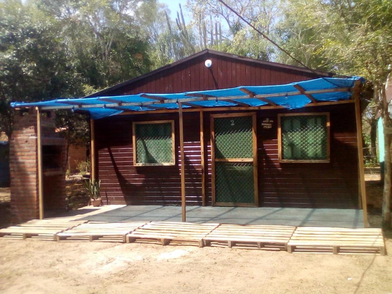 Photo 6