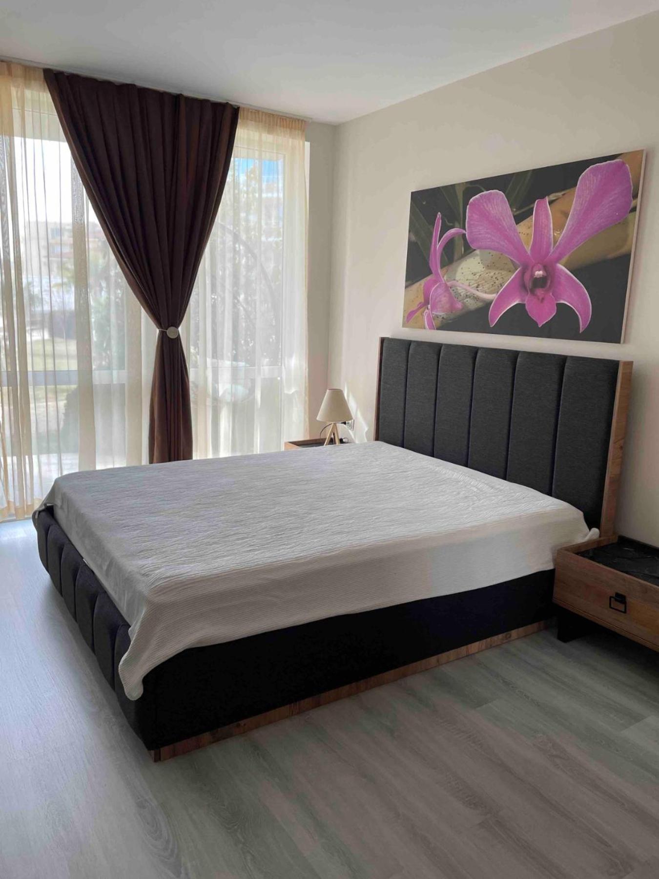 Apartament Ivanovi A119