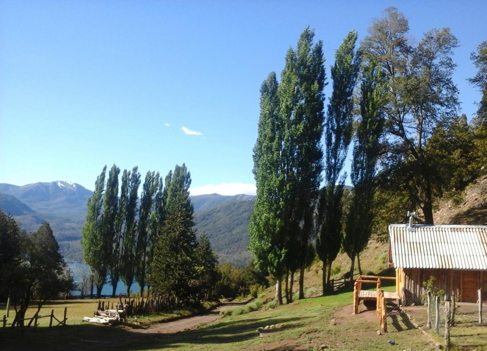 El Cipresal- Cabaña Epuyen