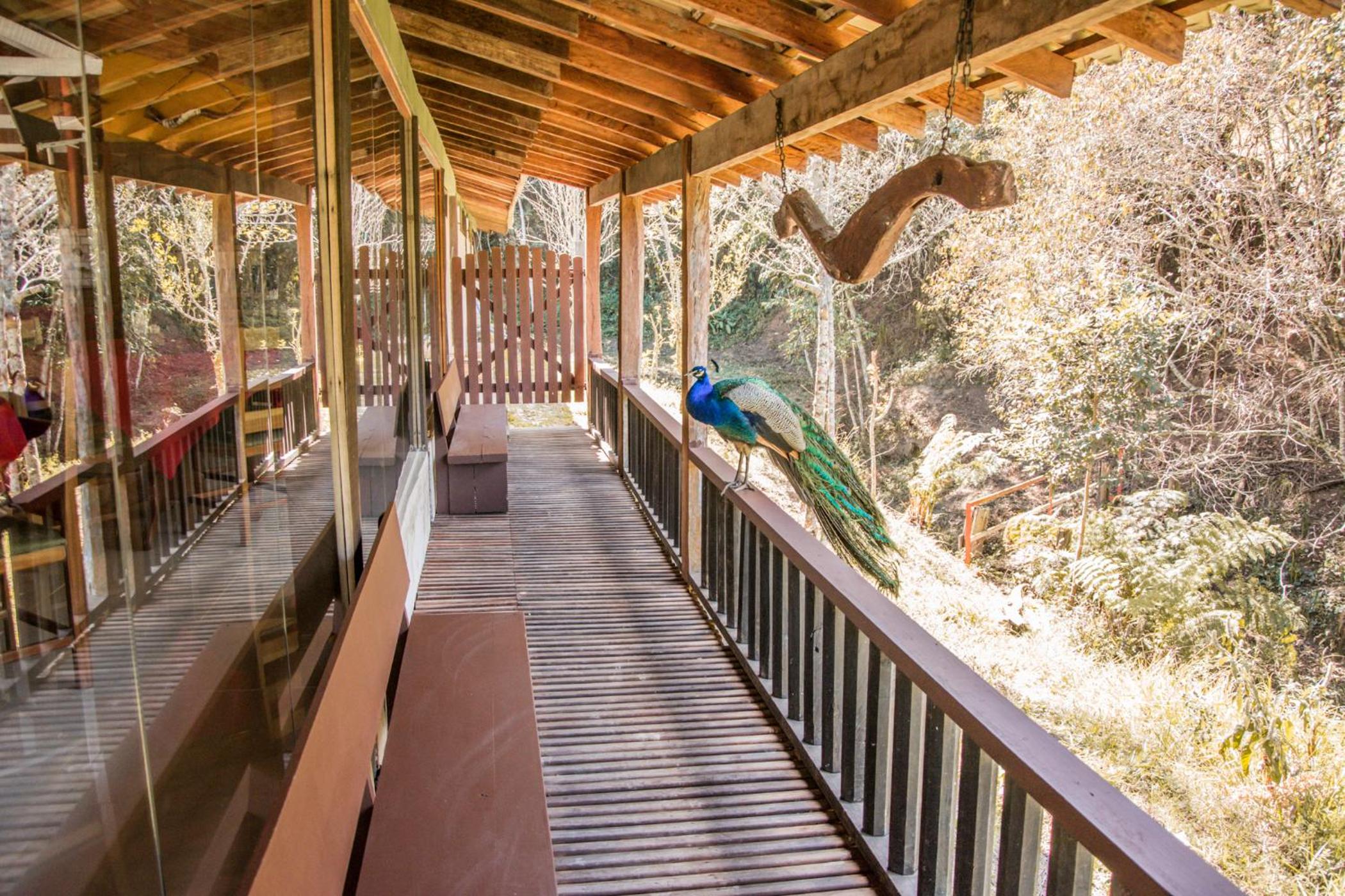 Pousada Campestre São Lourenço