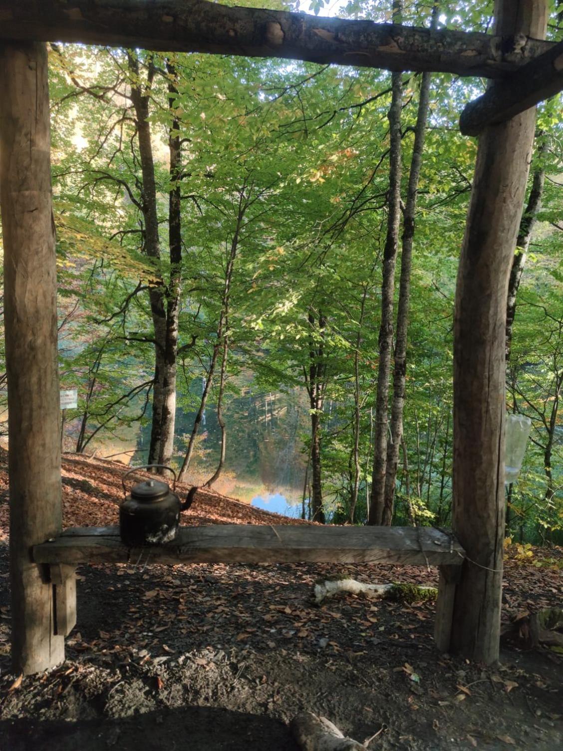 Dream Domes Glamping