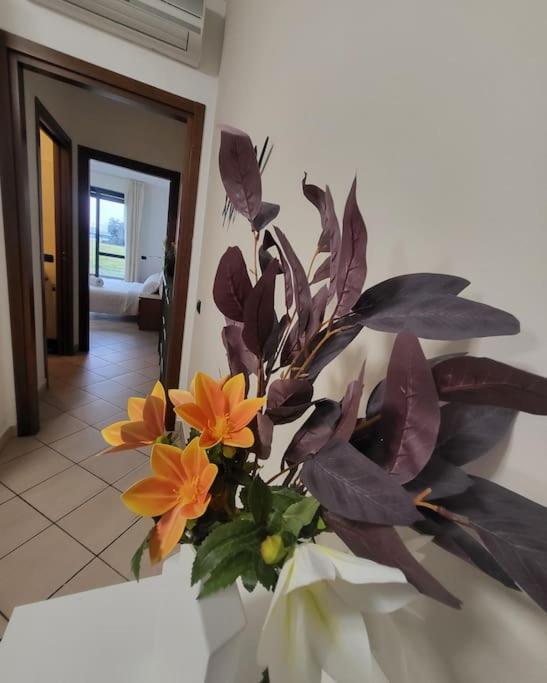 App 8 Accogliente Bilocale con Giardino view 3