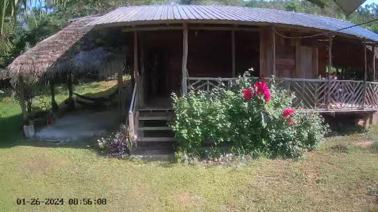 Rainforest Hut