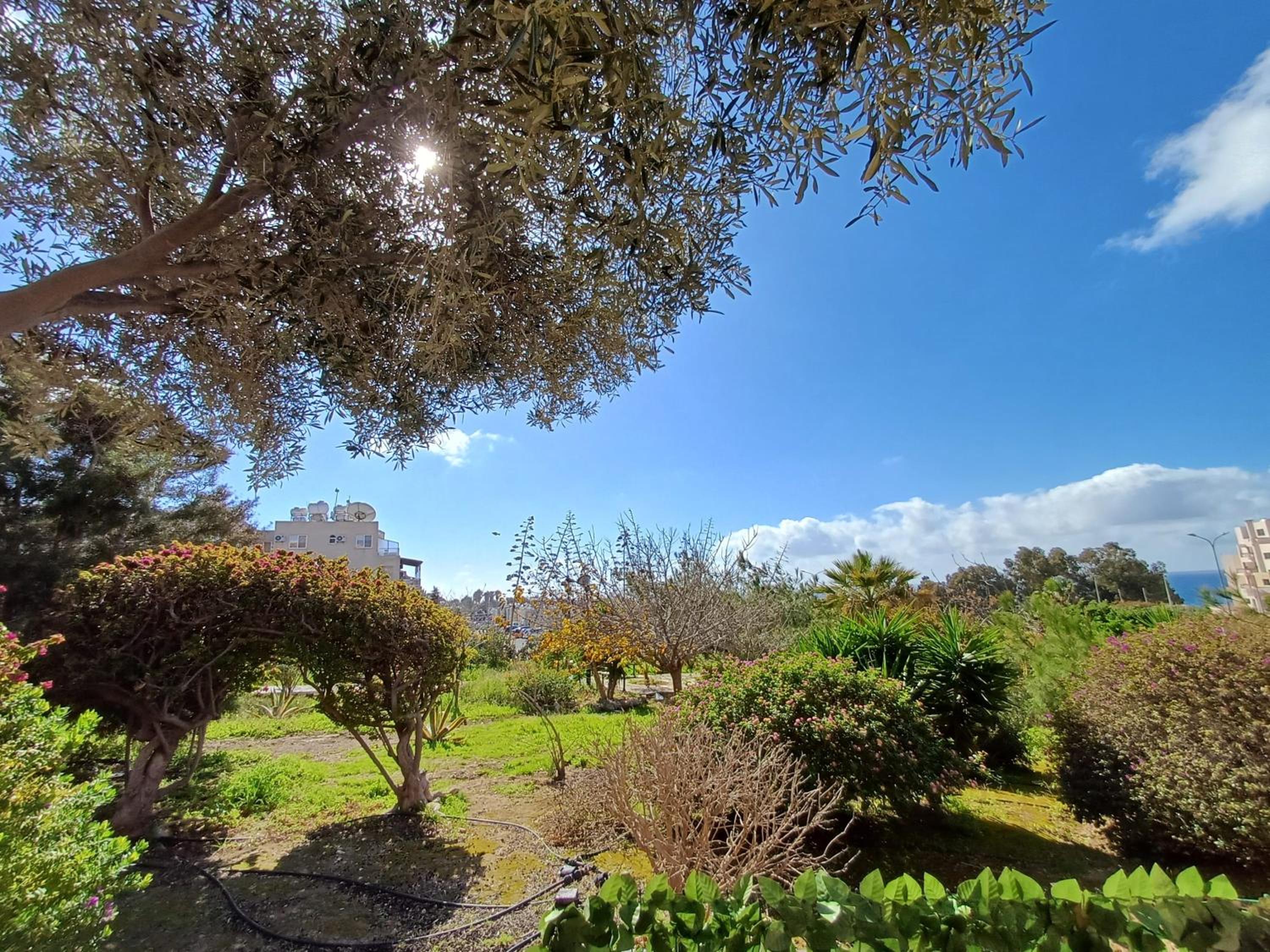 Kings Palace - Modern, sunny 2 bed ground floor with sea views