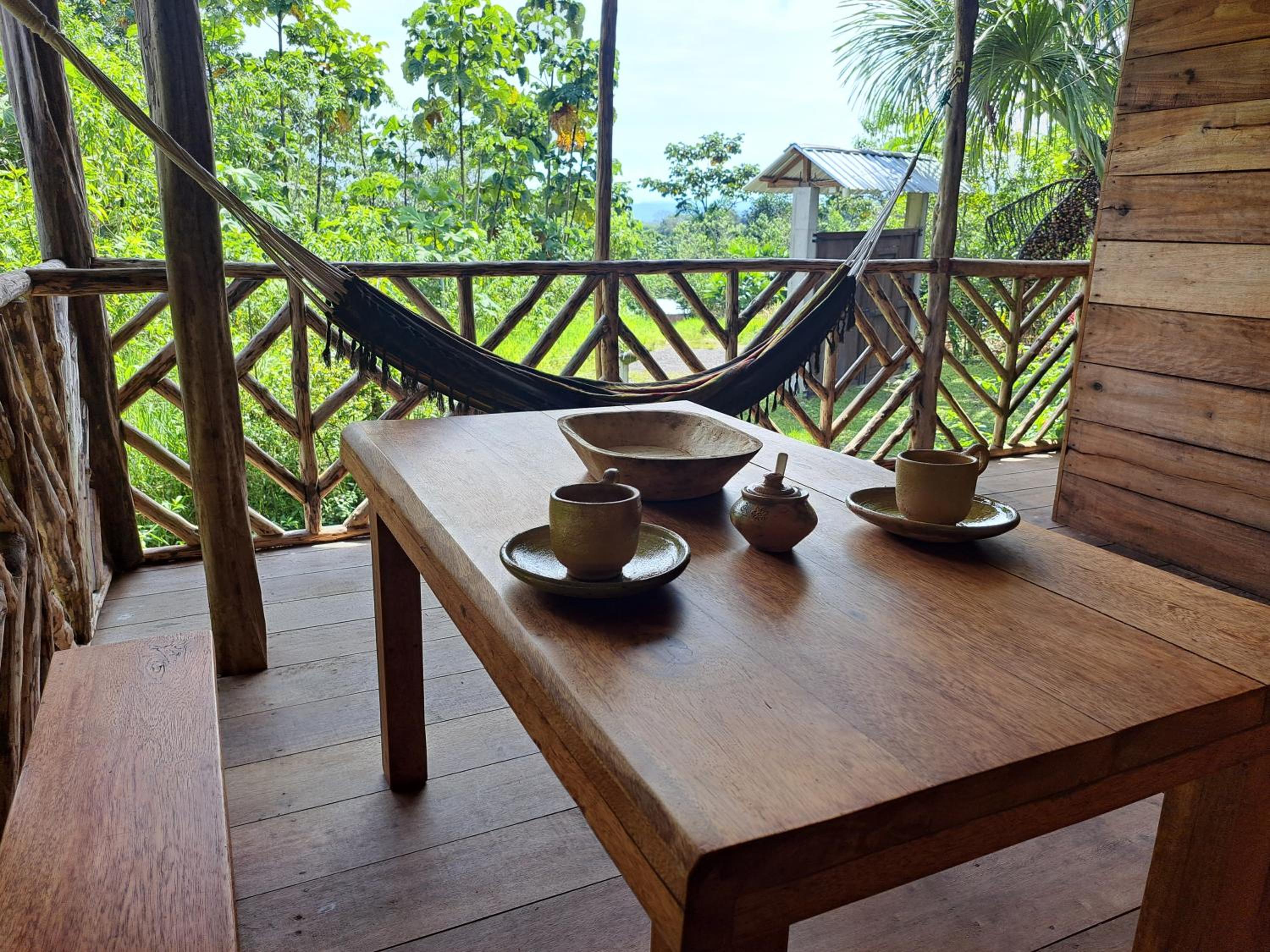Rainforest Hut