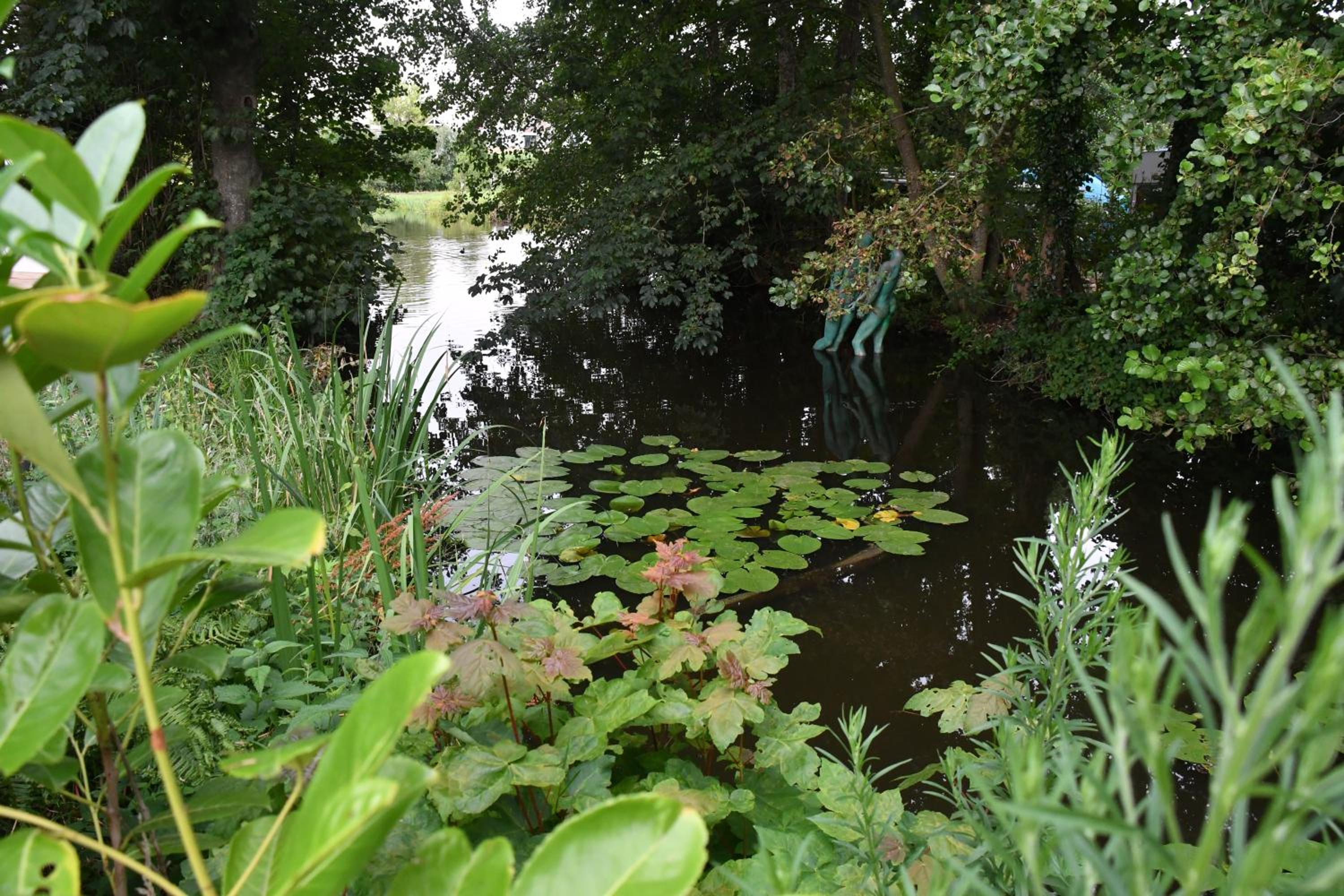 Photo 8