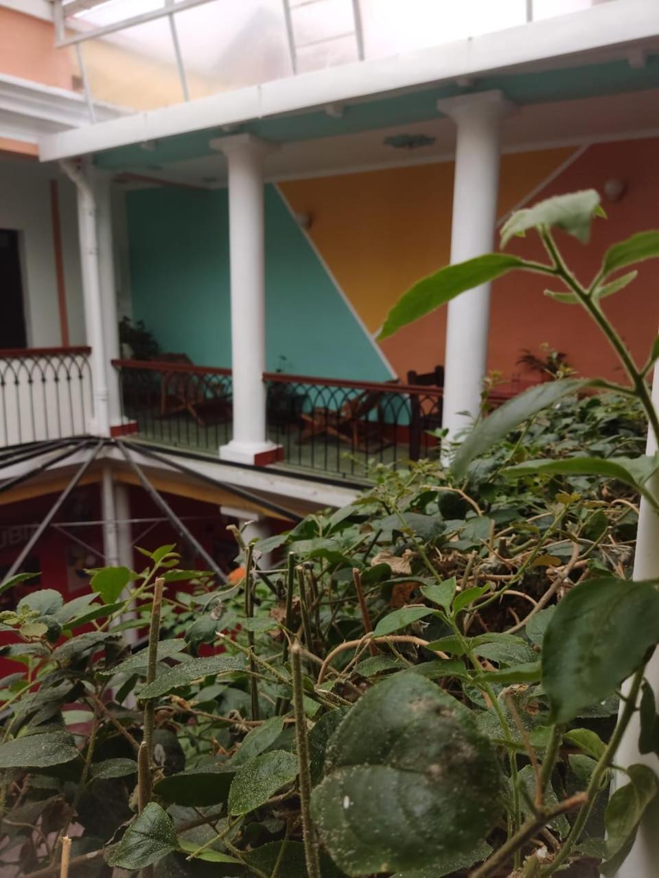 Colors House
