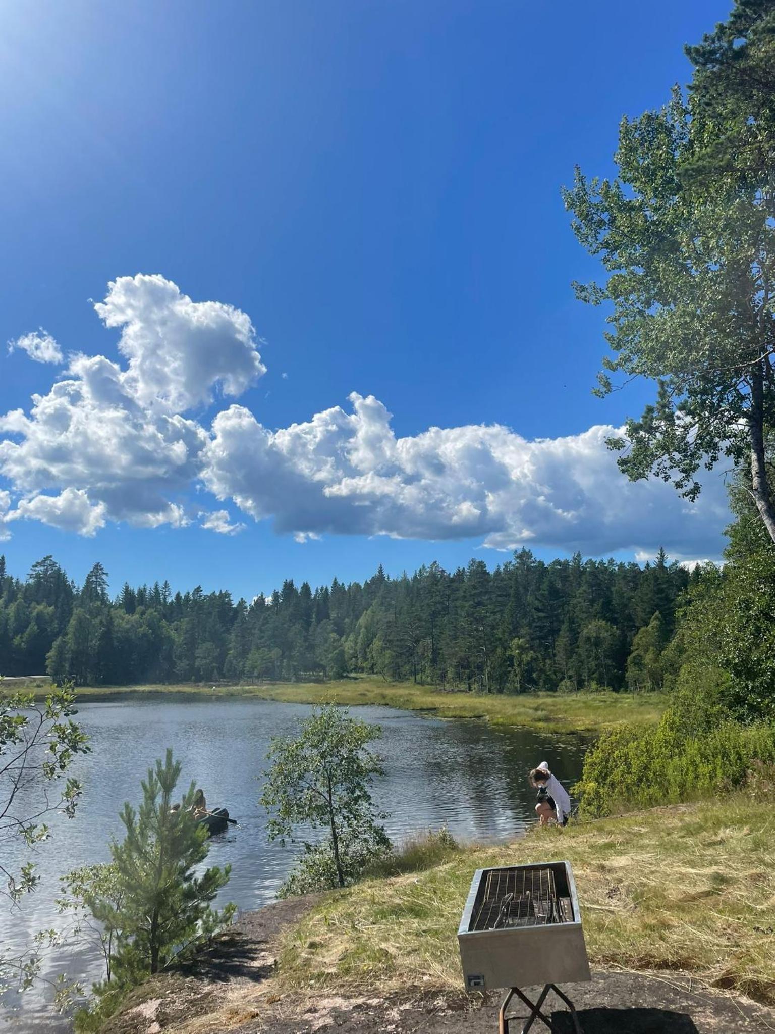 Skogsro Forest Hostel