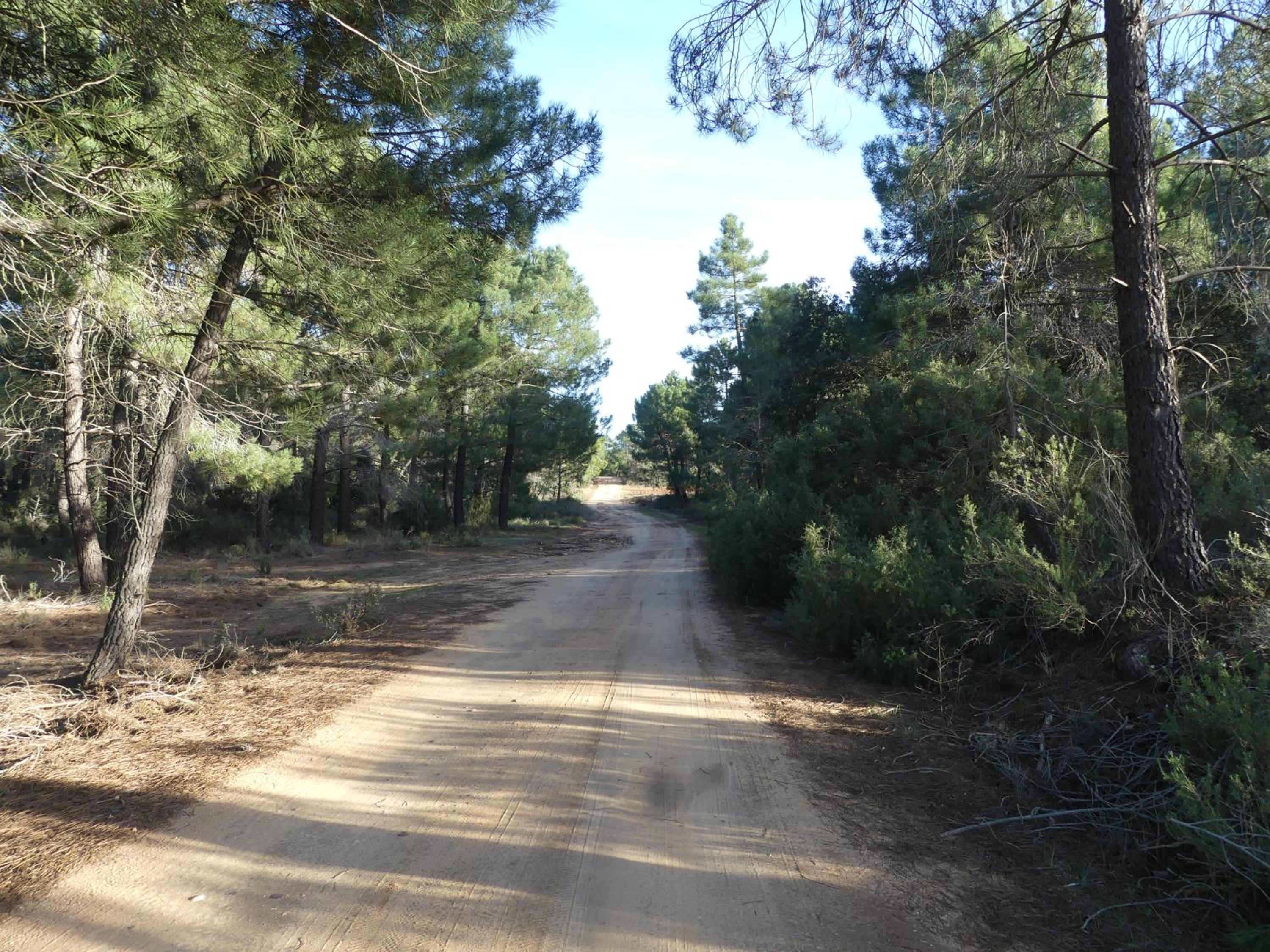 El Rodenal Casa Rural