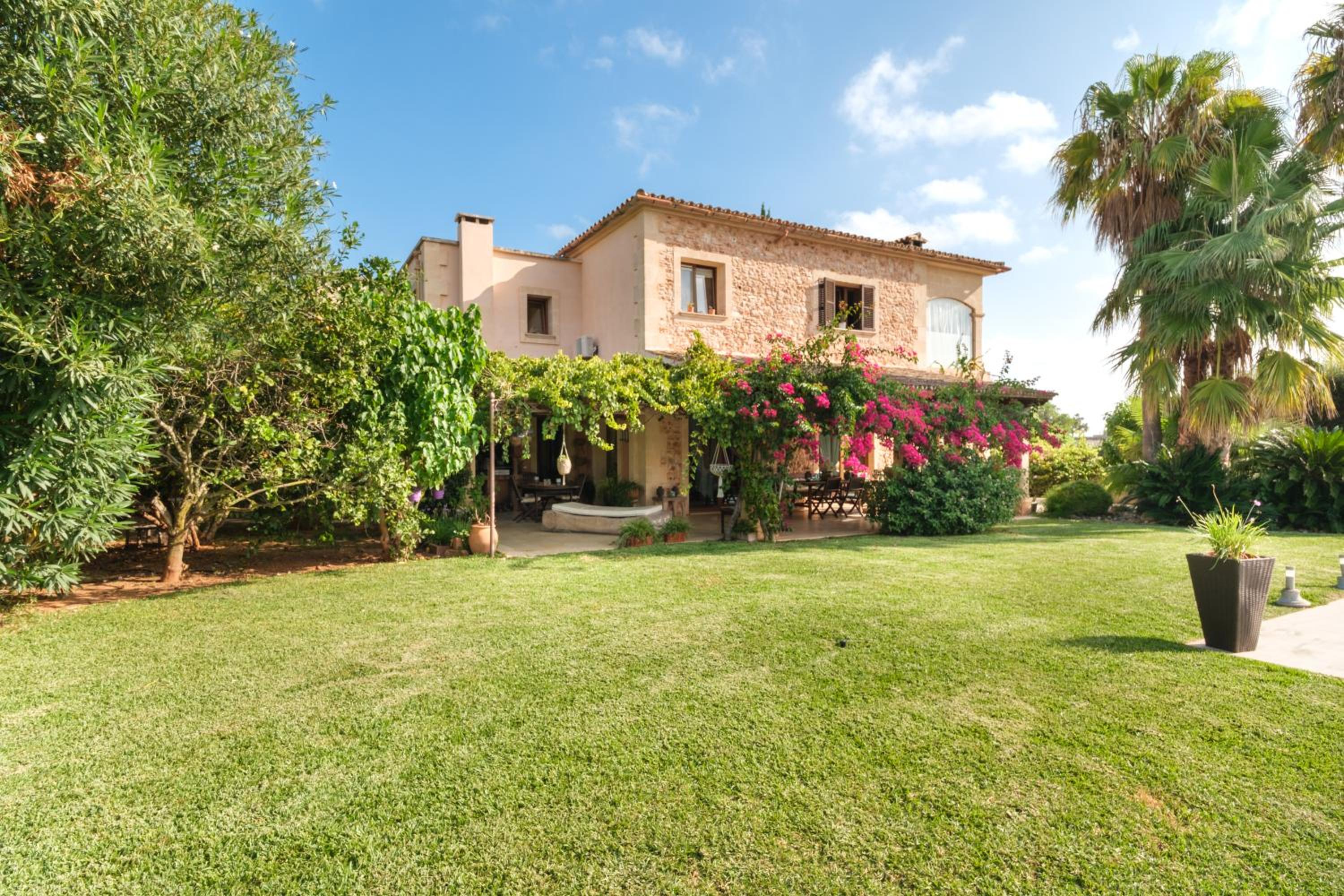 Finca Vinya Vella