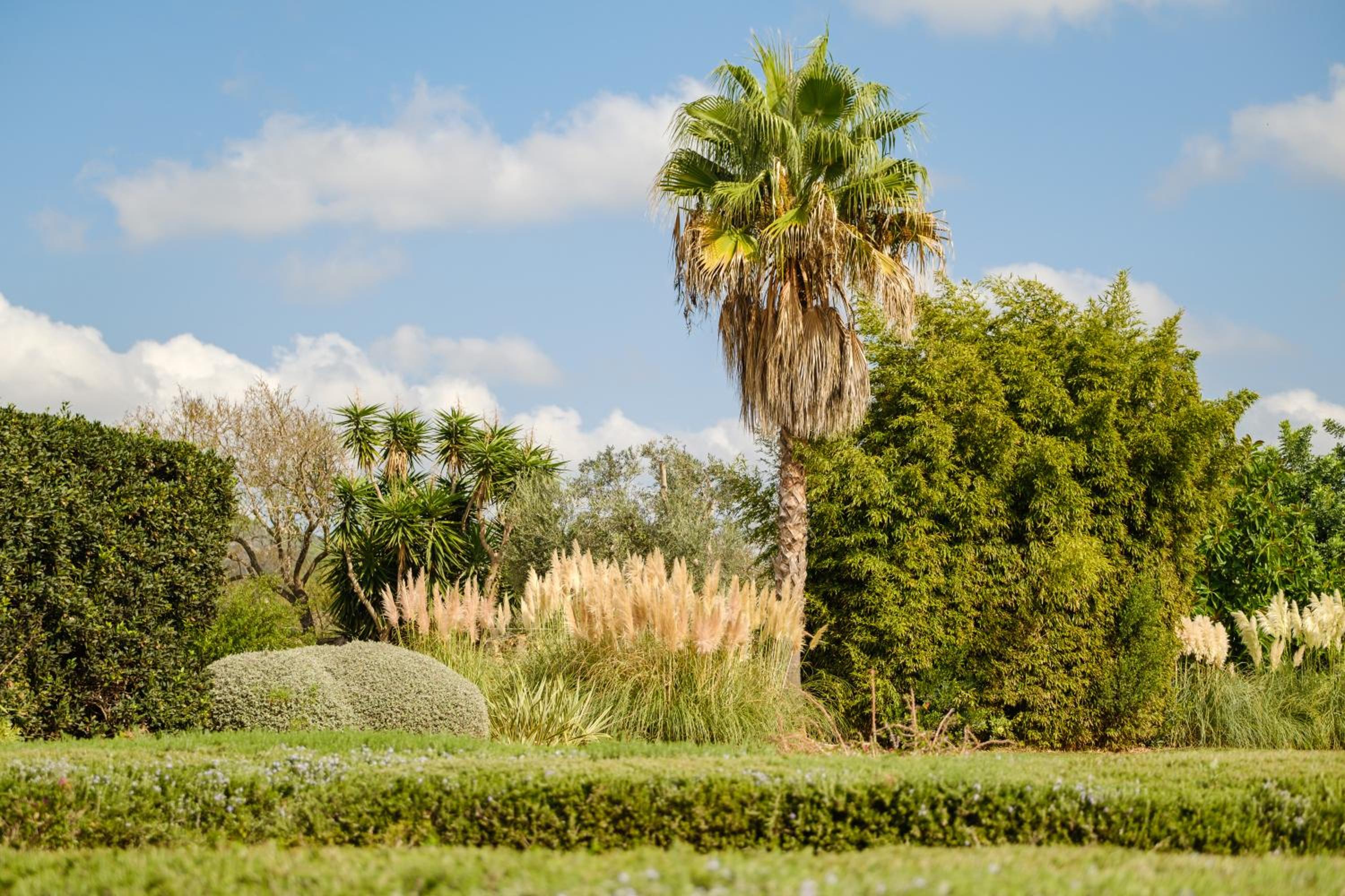 Finca Vinya Vella