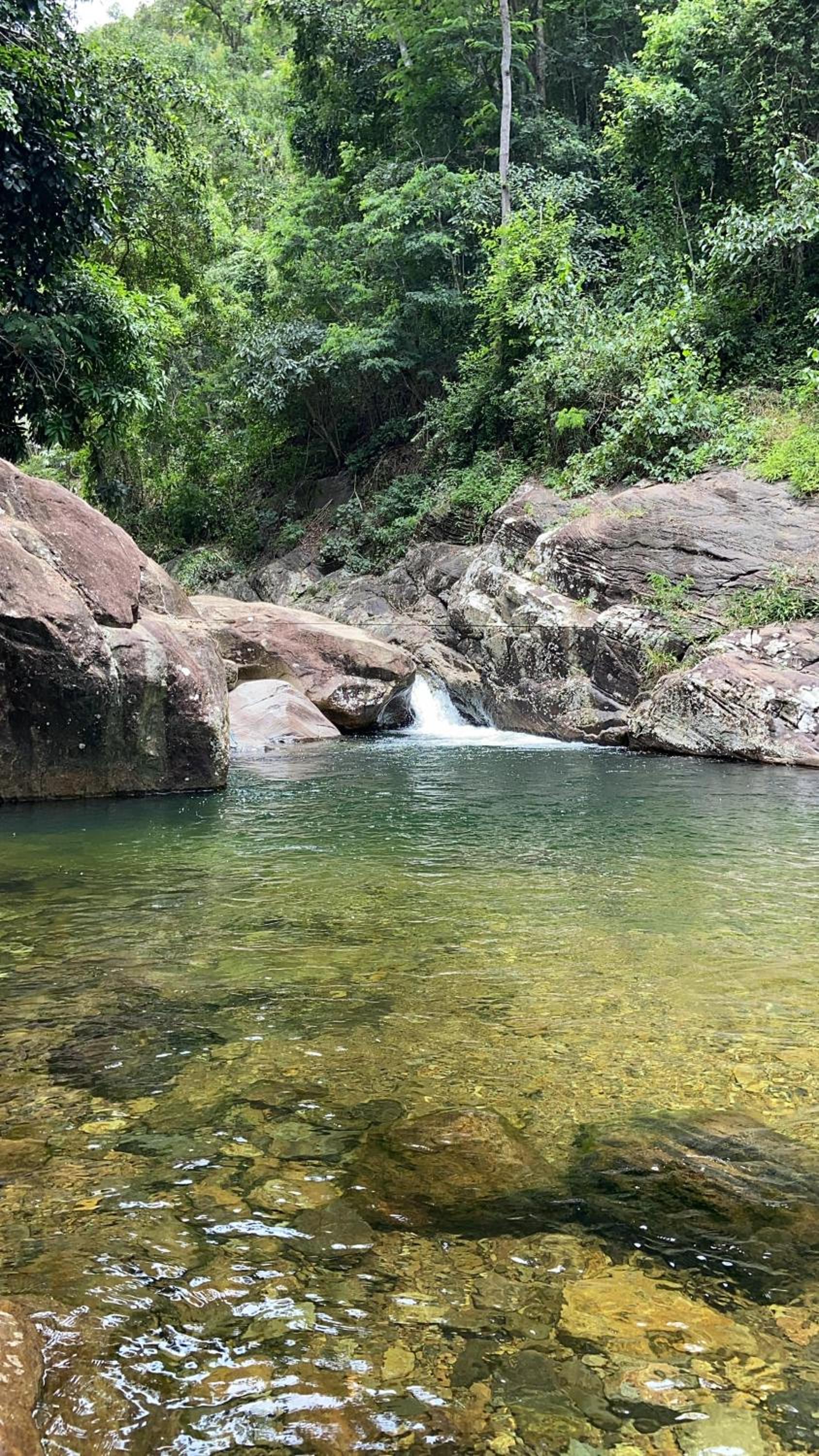 Cantinho da Mata