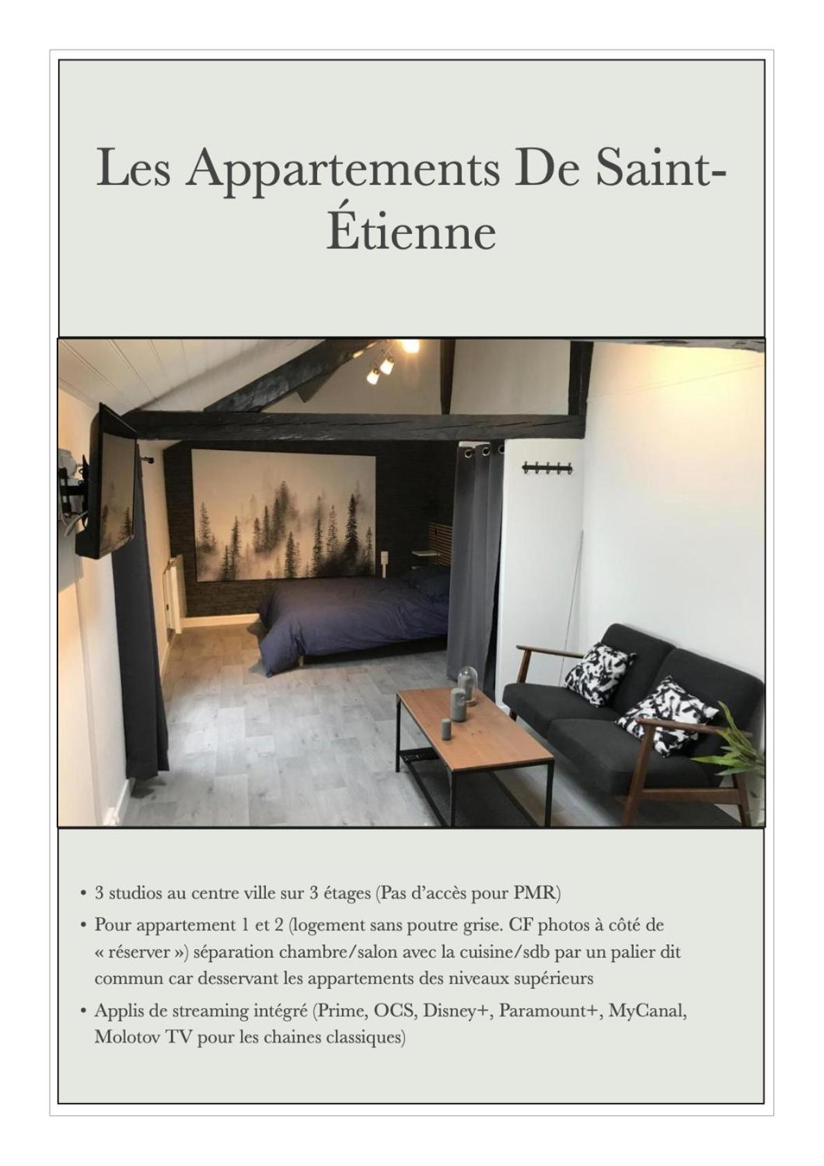 Les Appartements de St-Etienne, photo 11