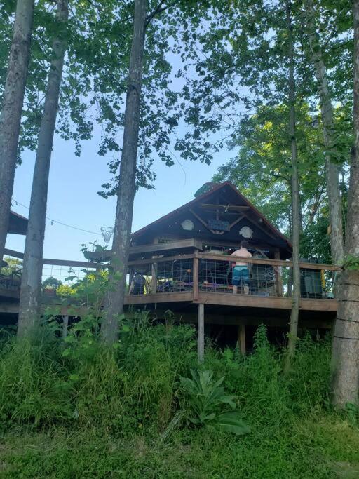 Happy Bottom Riverfront Cabin, Petersburg,WV view 5