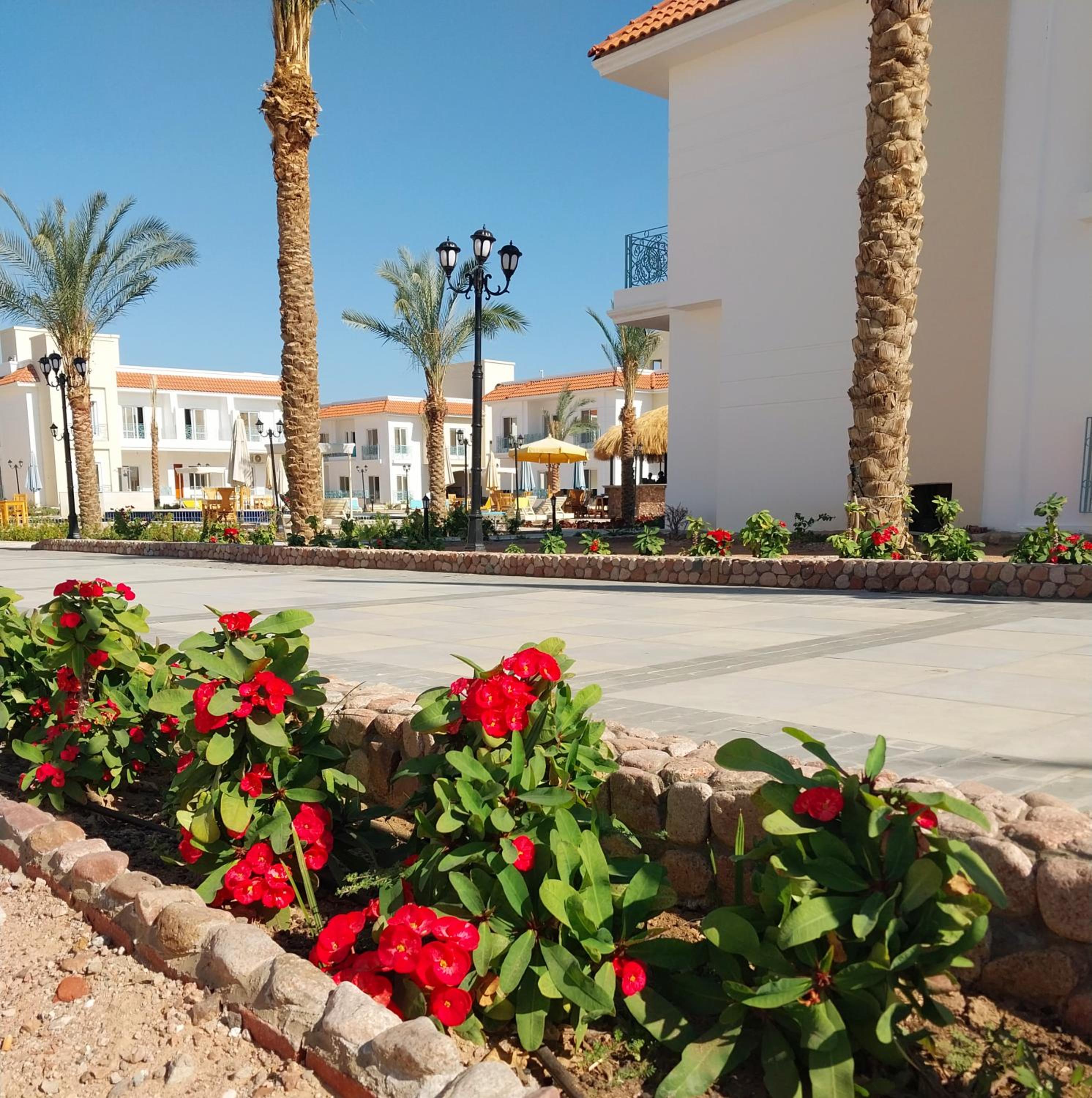 Blue Residence Dahab