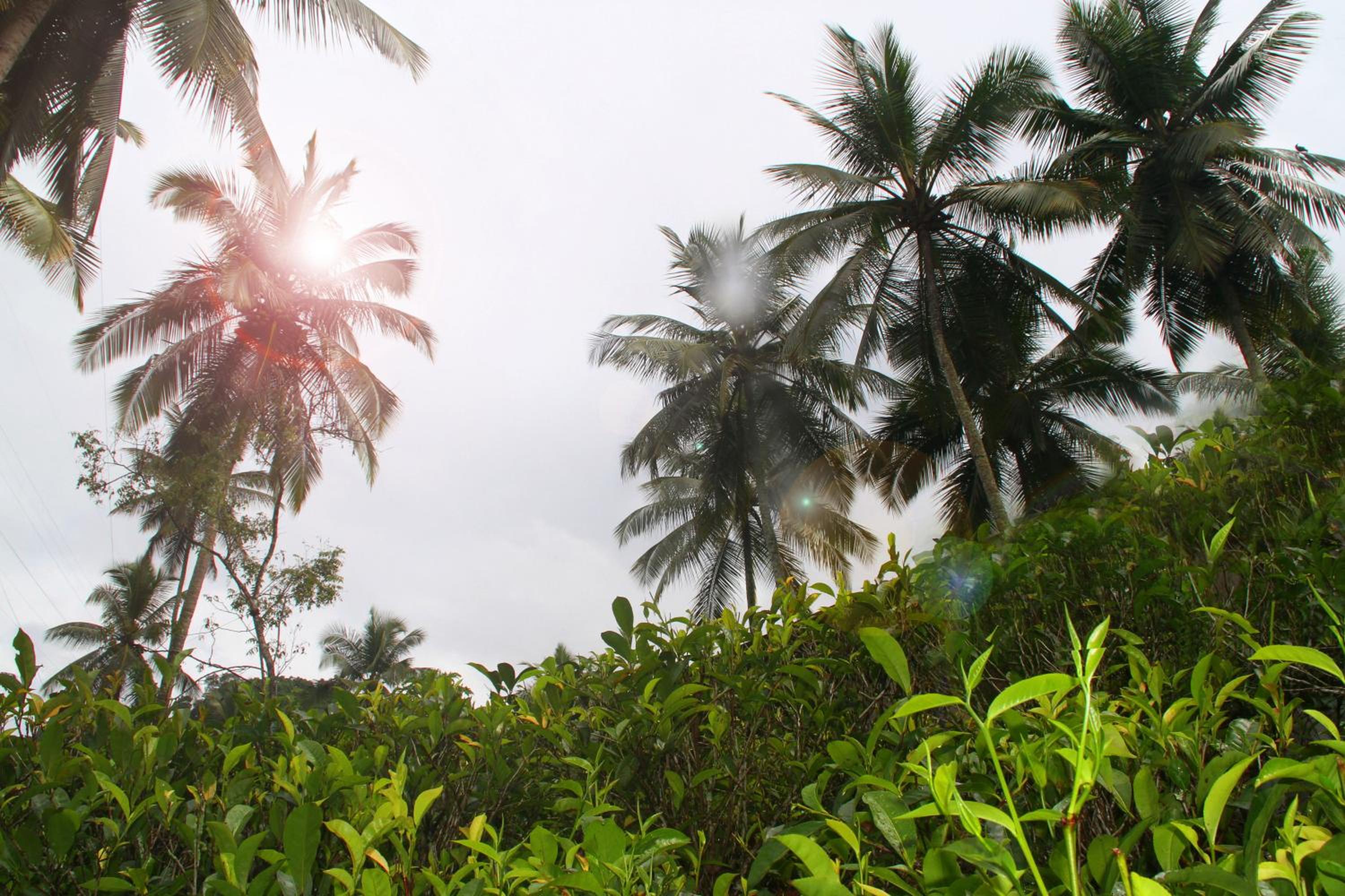 Photo 40