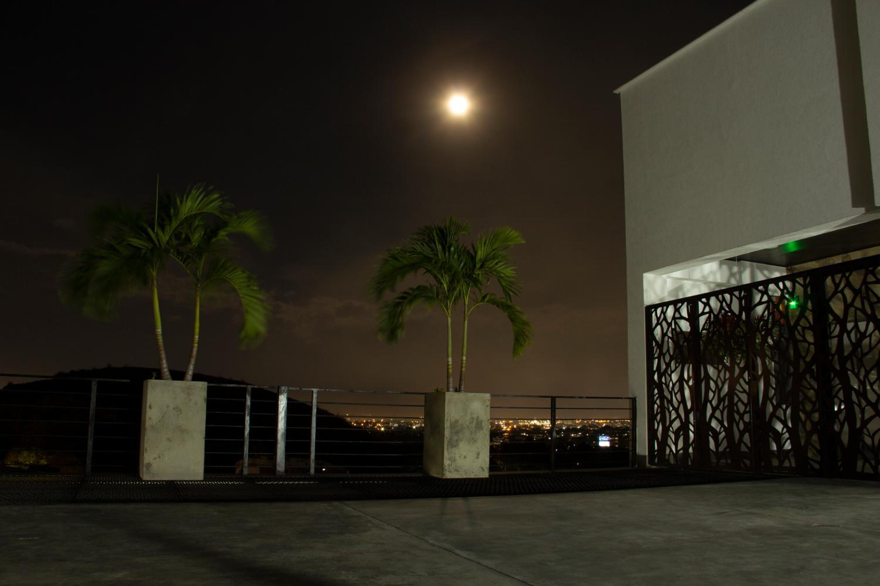 El Bosque Living