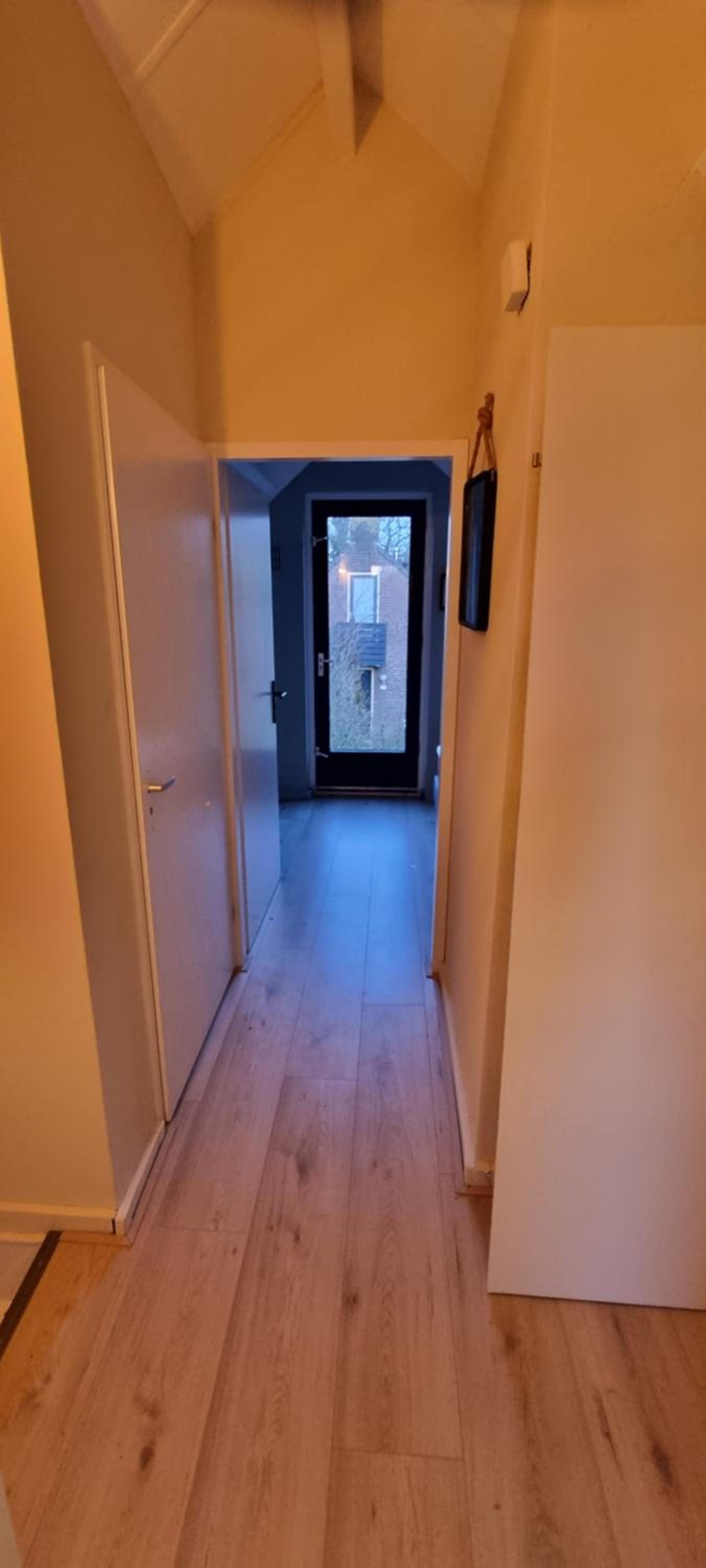 Photo 31