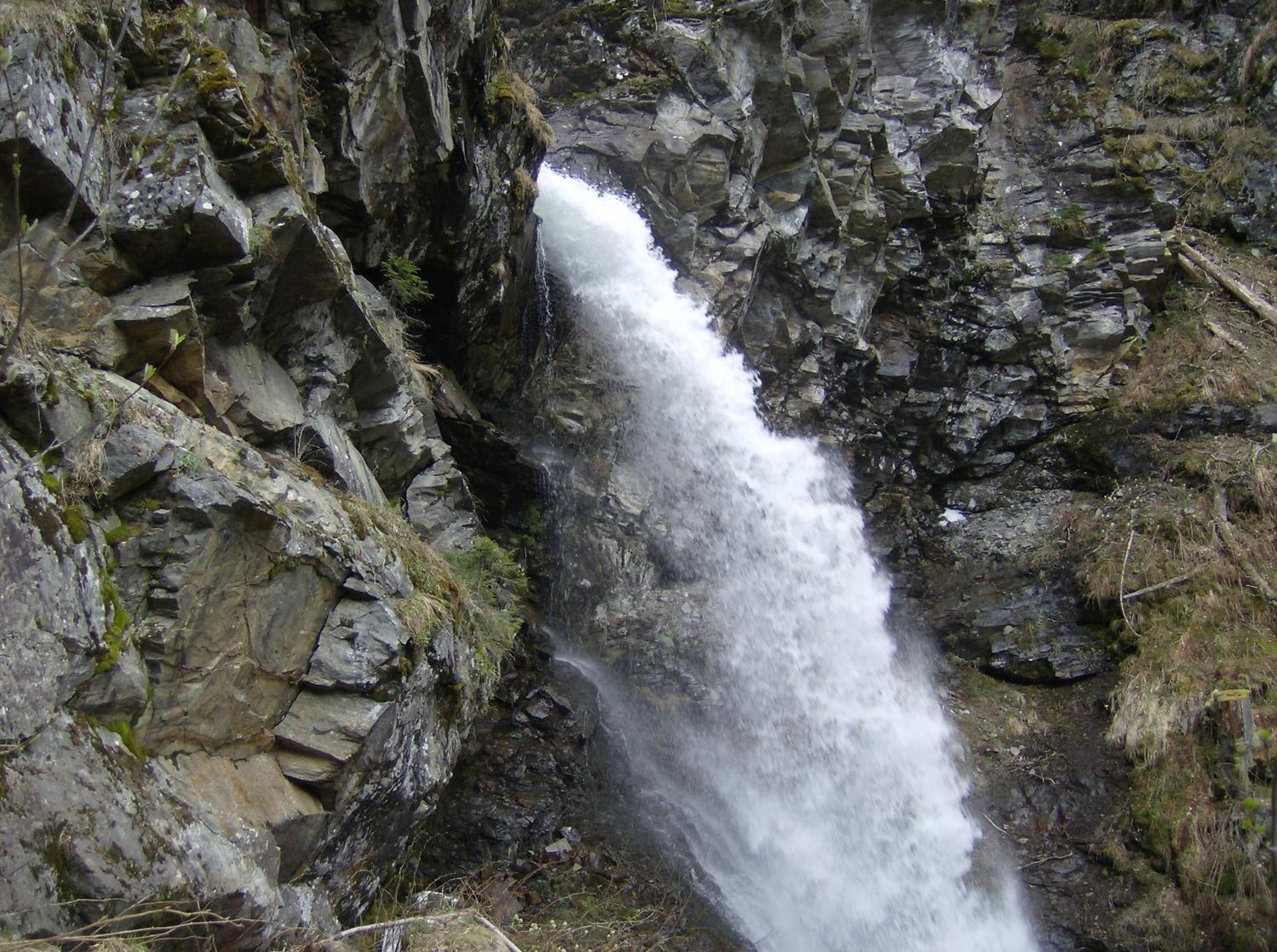Garni Petter