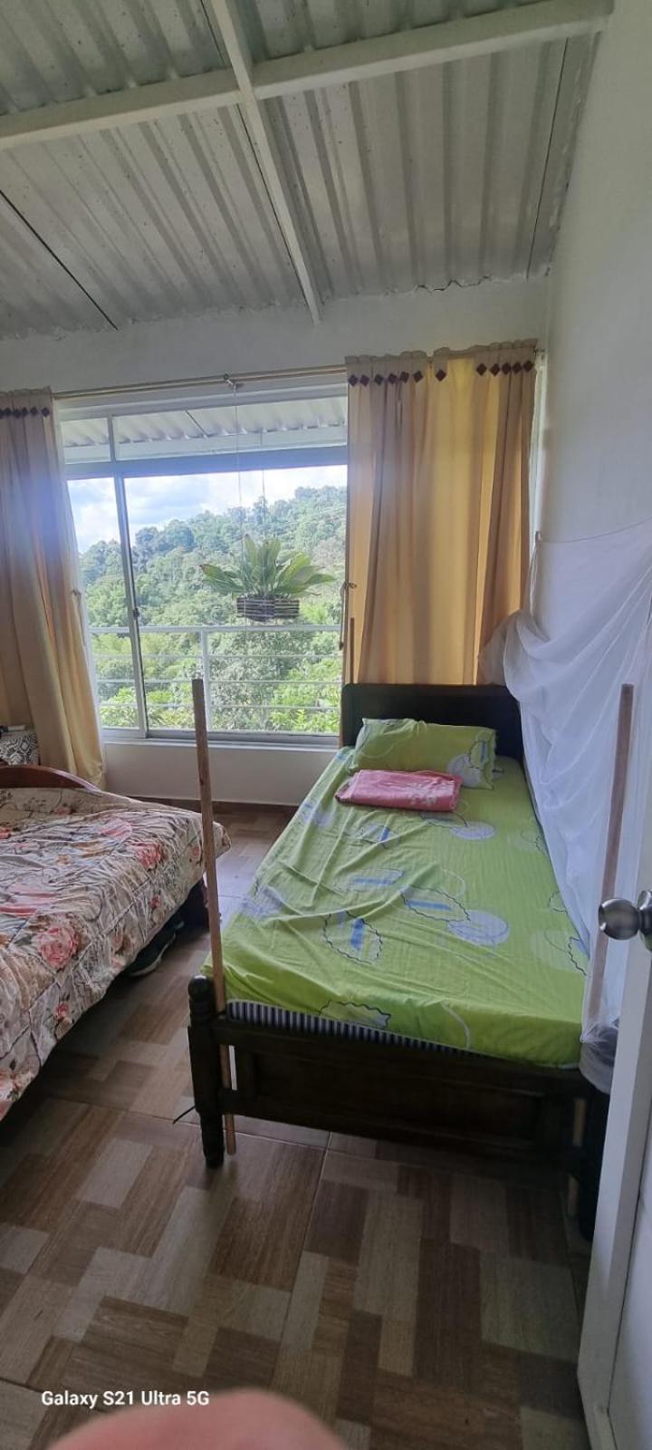 Finca las marias