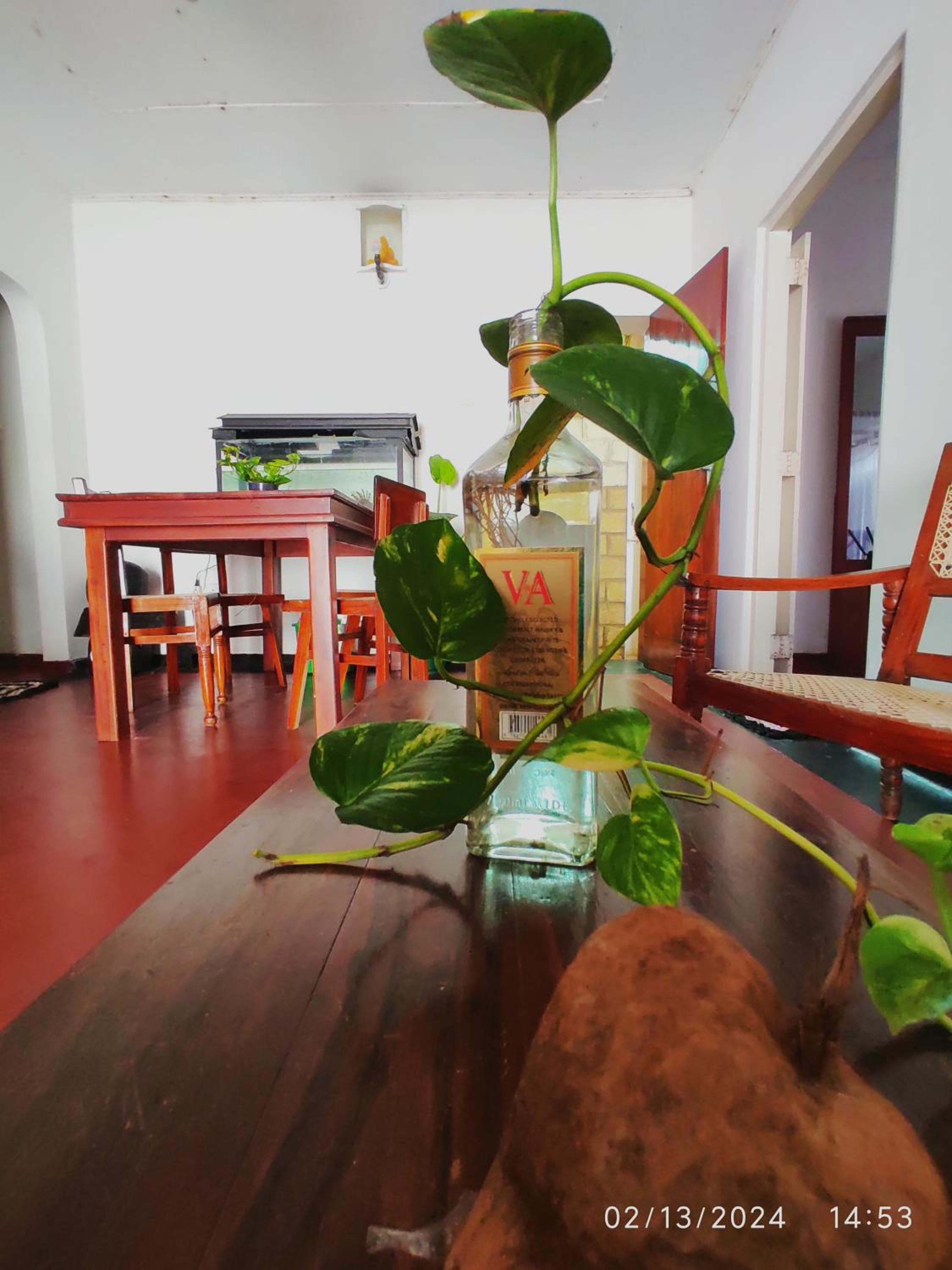 Sheyyes hostel