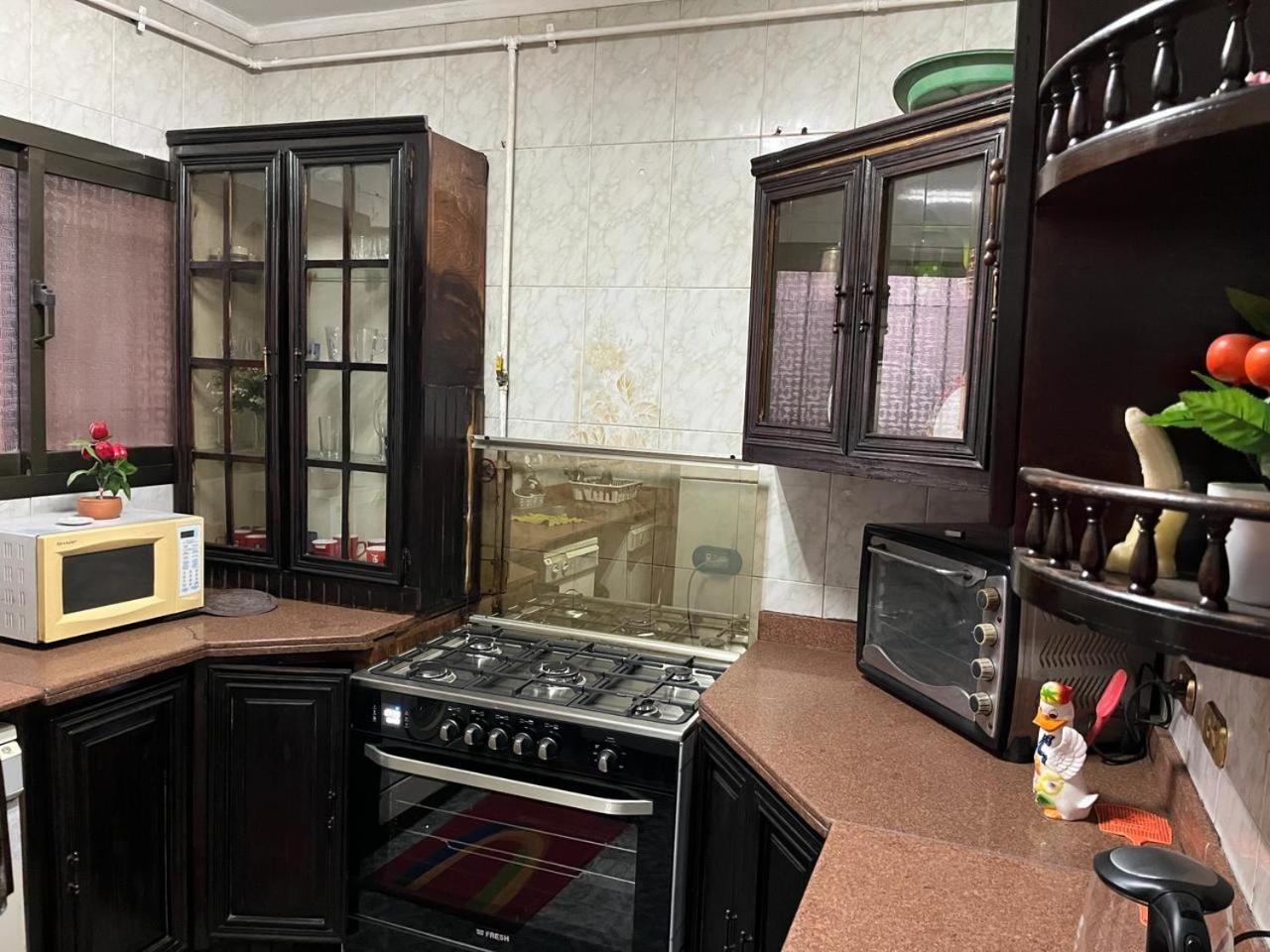 amazing Nile view fully furnished apartment