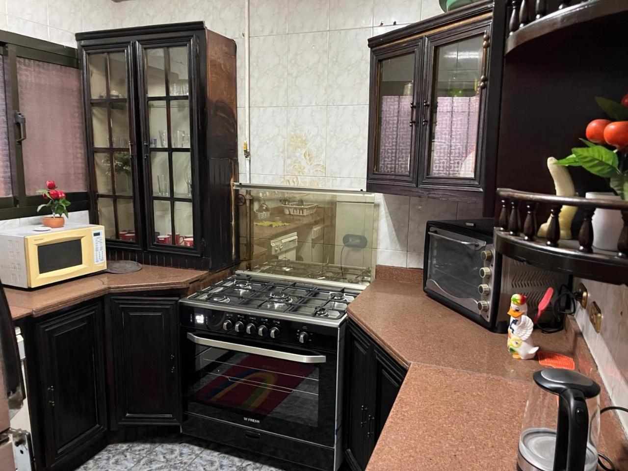 amazing Nile view fully furnished apartment
