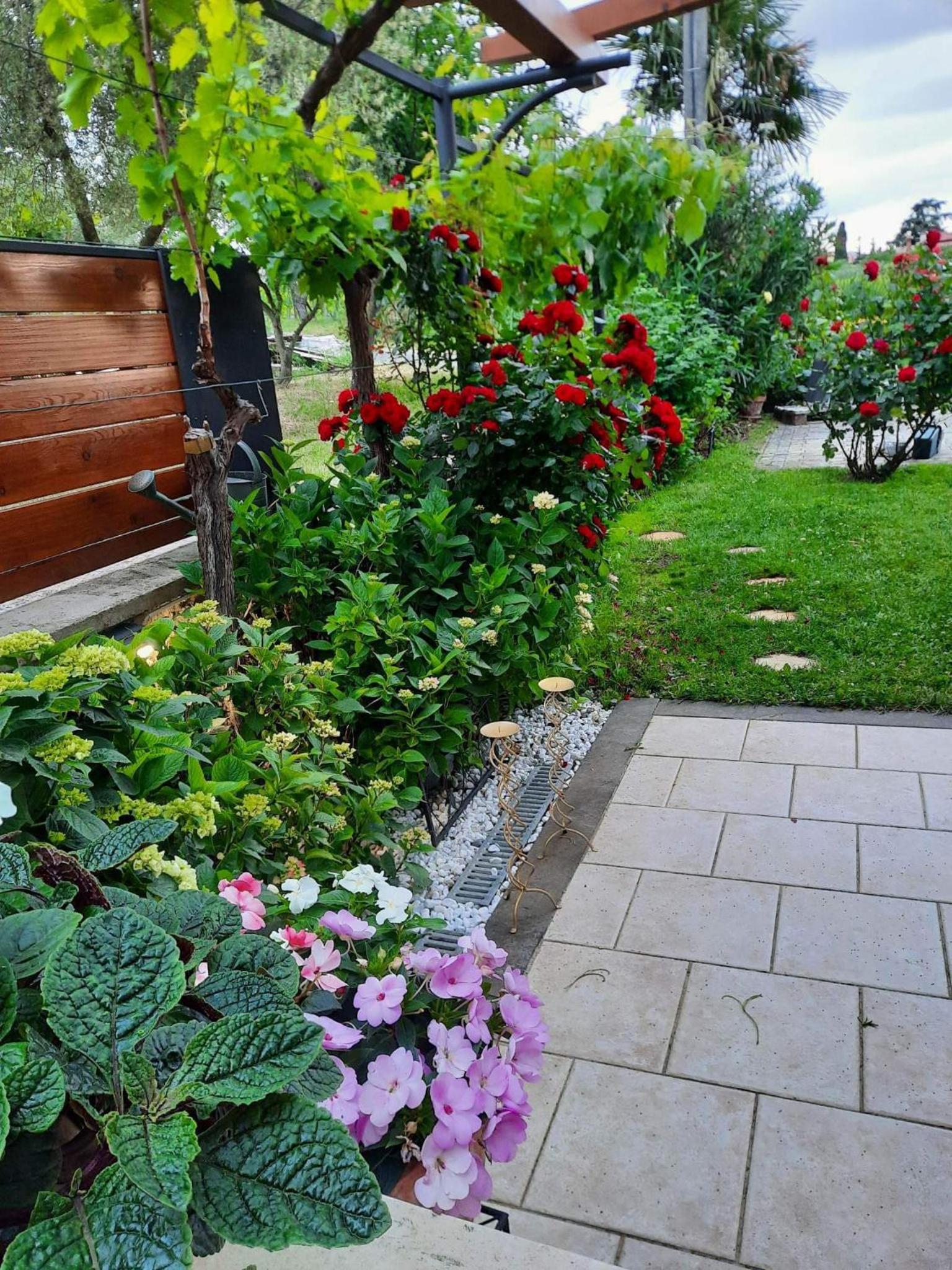 Photo 32