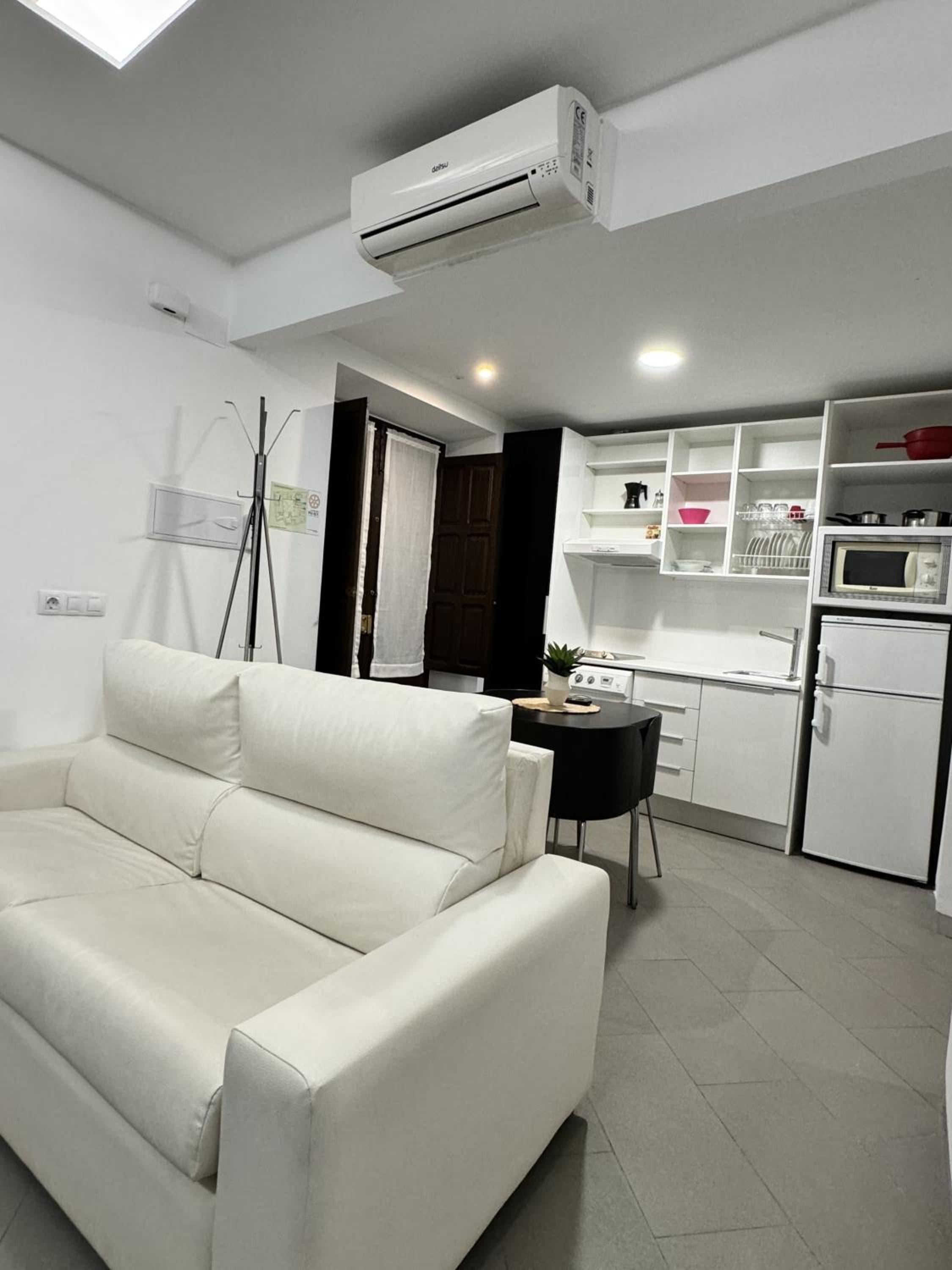 MANZANO PALACE. Apartamentos con Terraza