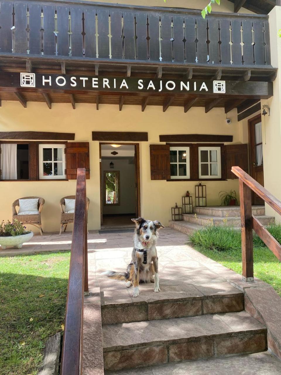 HOSTERÍA SAJONIA